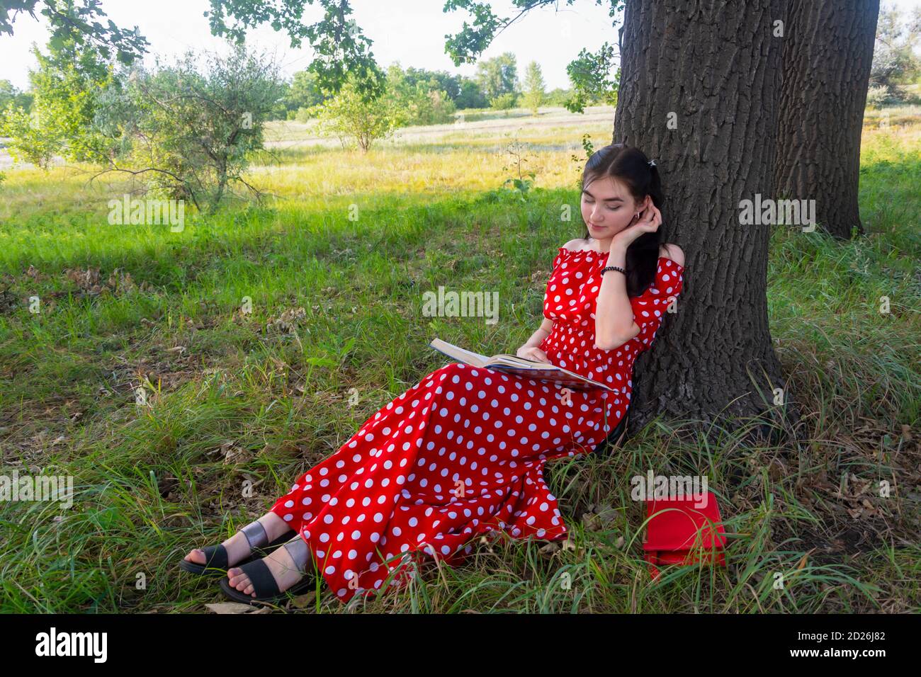 Una hermosa morena con un largo vestido rojo en verano lee un libro en un parque. Un estudiante se prepara para las lecciones. Ambiente de verano, armonía, recreación al aire libre. Foto de stock