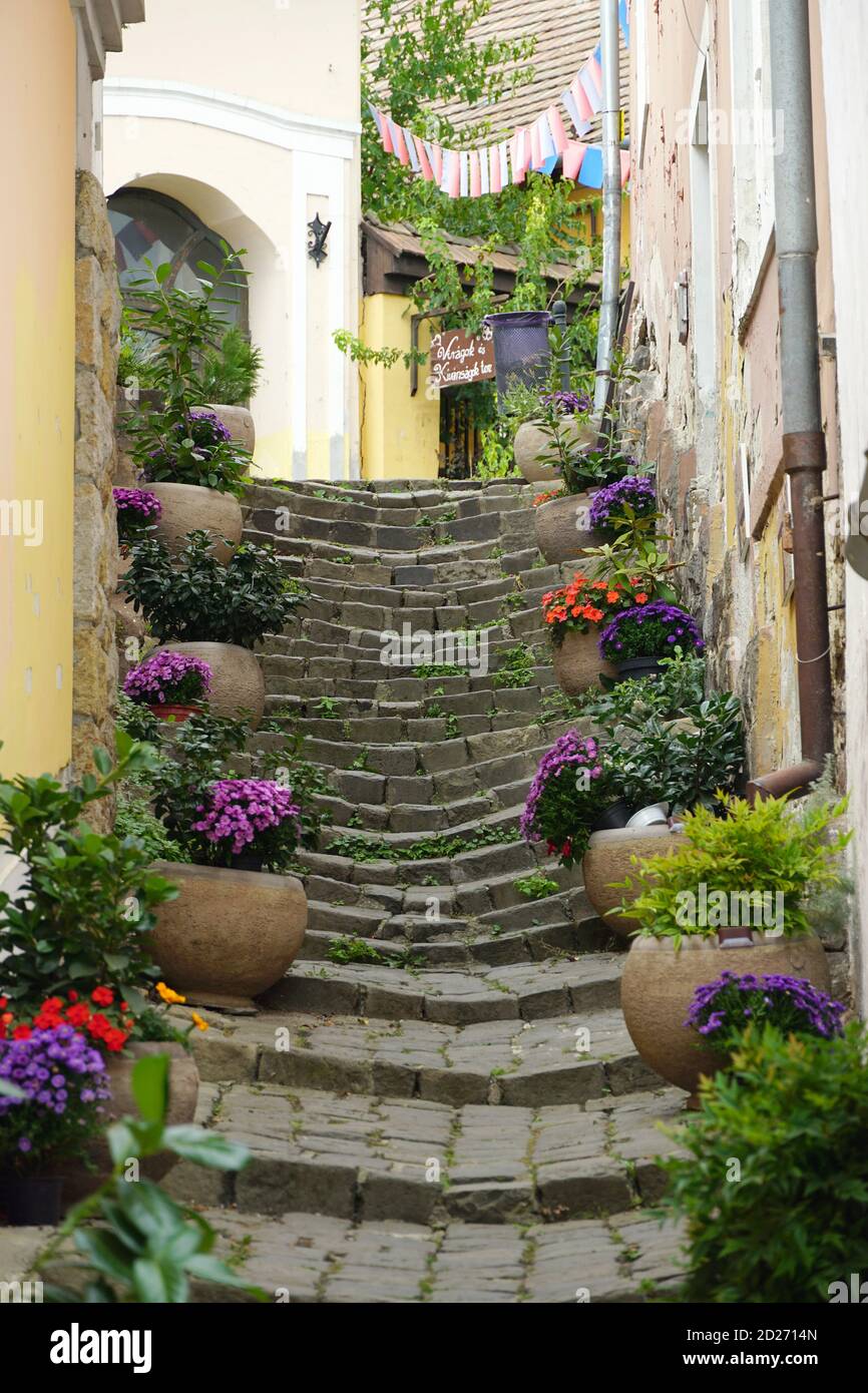 Escaleras antiguas en el centro de la ciudad, Szentendre, Pest County, Hungría, Magyarprszág, Europa Foto de stock