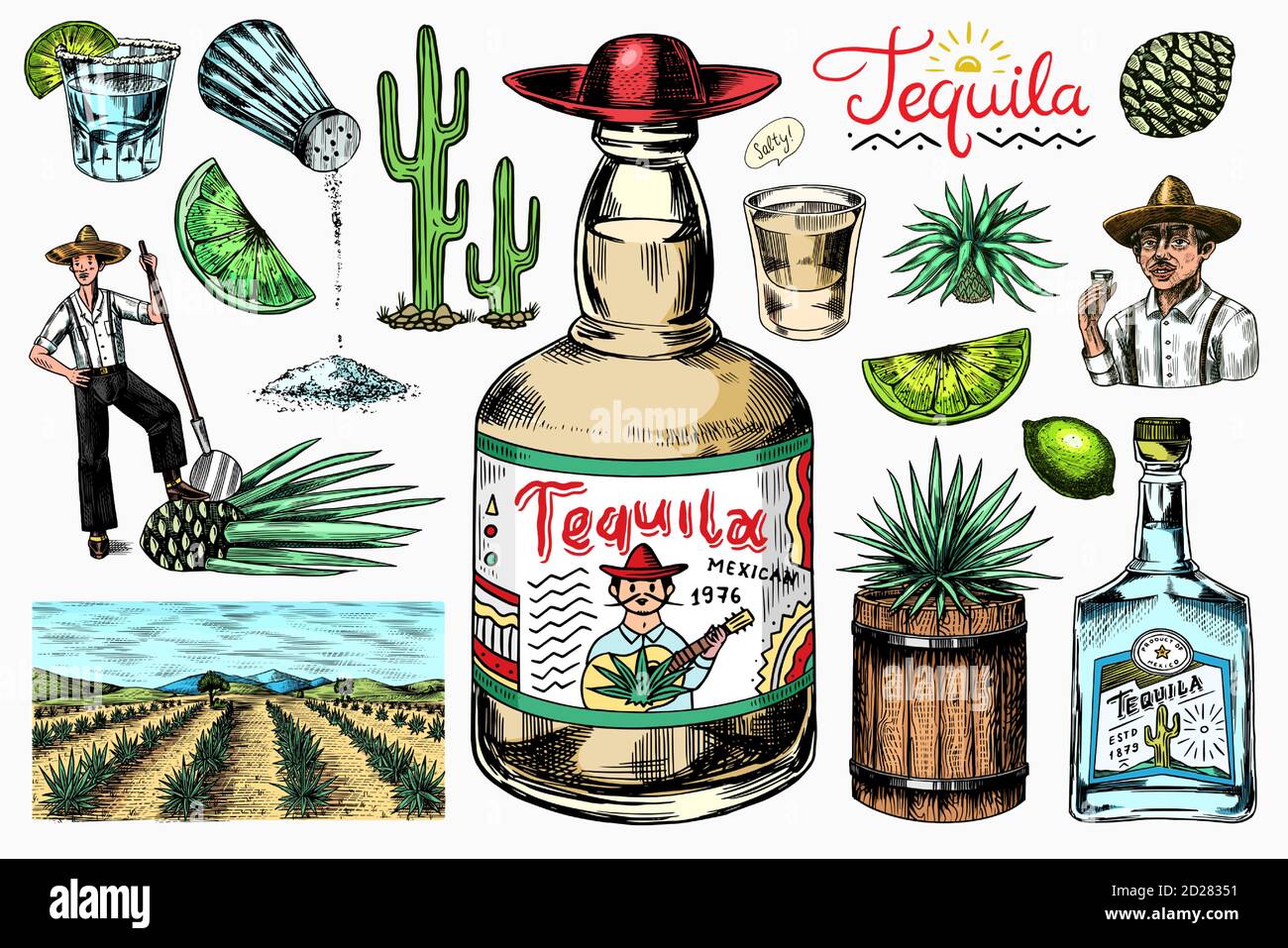 Botella de tequila, inyectada con cal, planta de agave azul, ingrediente de  barril y raíz, agricultor y cosecha. Grabado dibujo de la cosecha dibujado  a mano. Estilo de madera Imagen Vector de