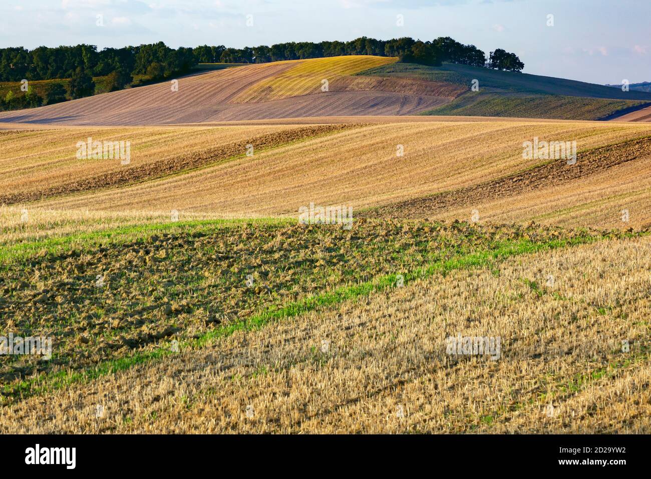 Un paisaje agrícola de colinas suavemente onduladas que son típicas de la región de Gers del suroeste de Francia. Foto de stock