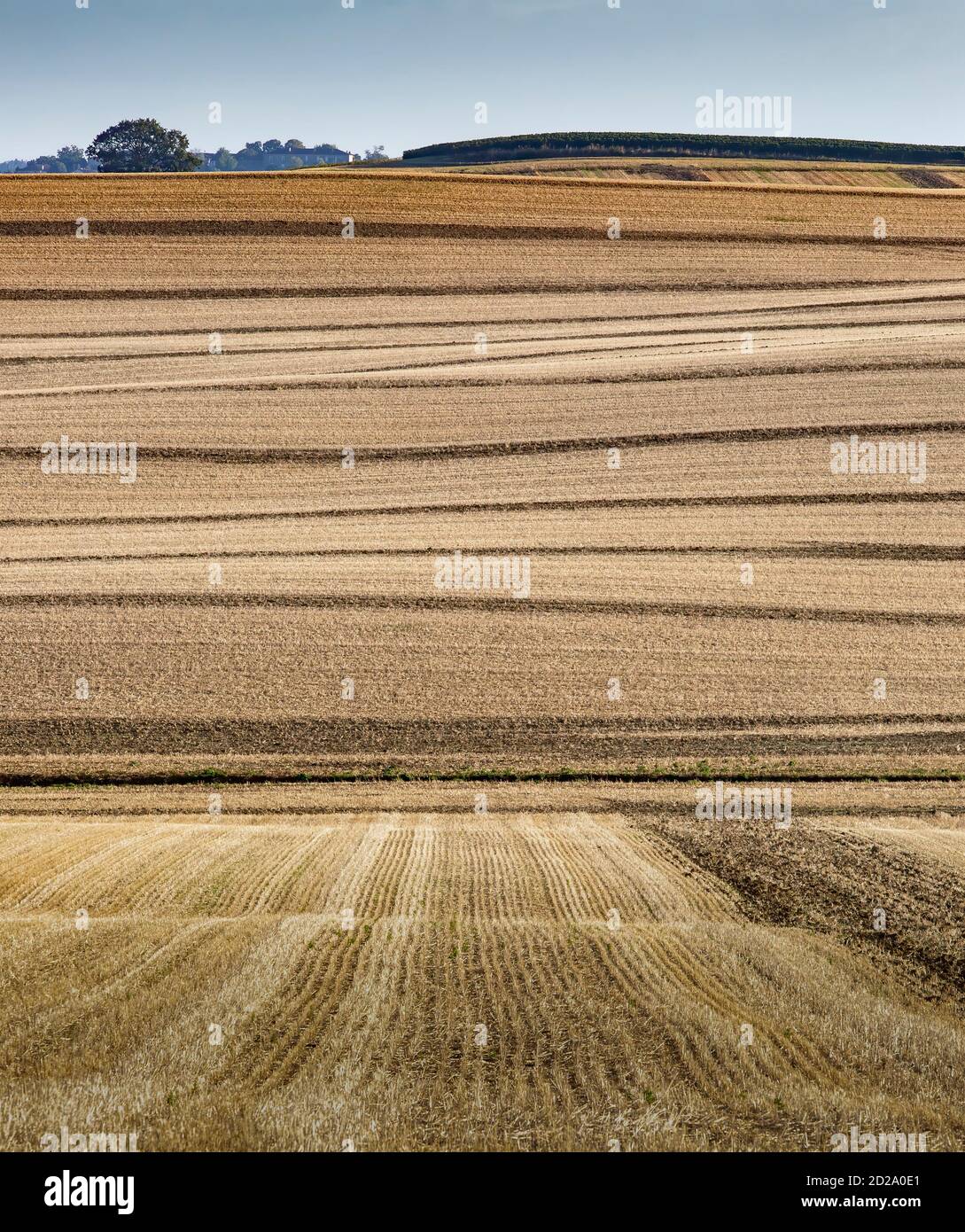 Un paisaje agrícola de colinas suavemente onduladas que son típicas de la región de Gers del suroeste de Francia. Foto de stock