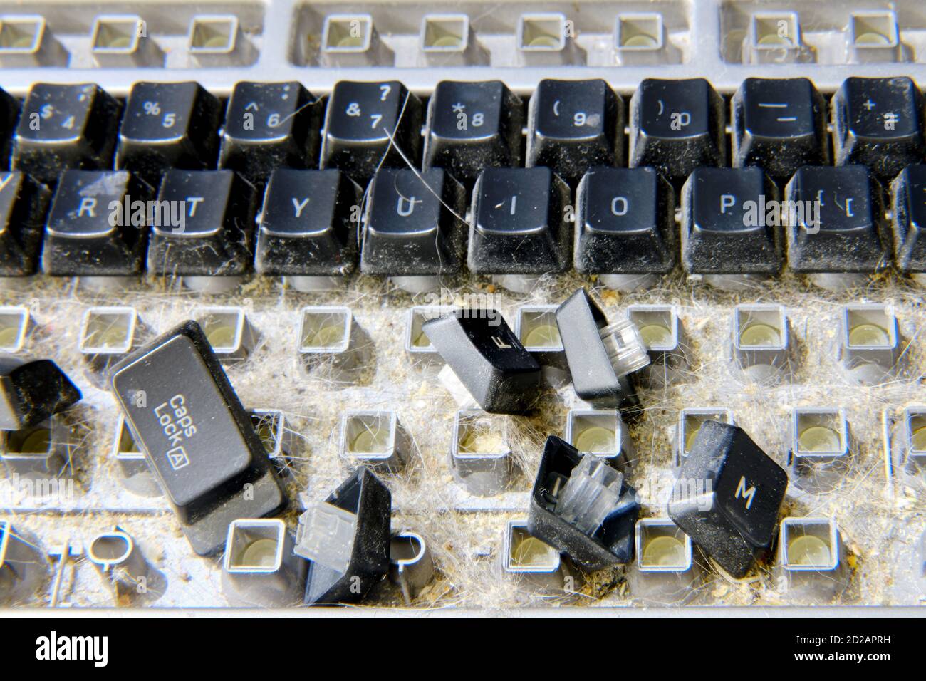 Desmontar teclado con basura en el interior preparado para la limpieza  Fotografía de stock - Alamy