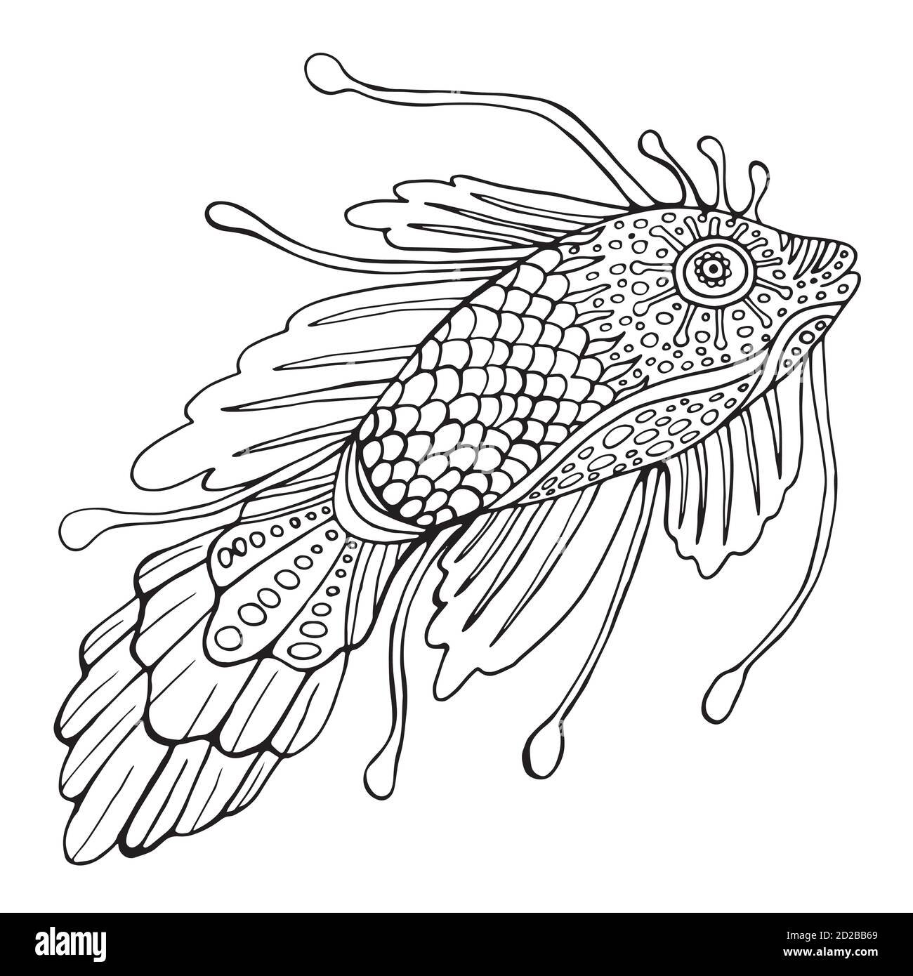 Pescado para colorear fotografías e imágenes de alta resolución Alamy