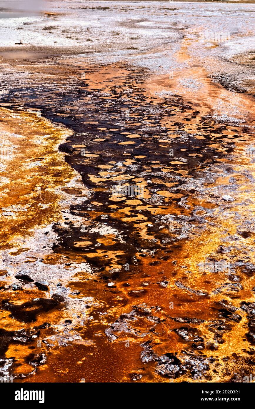 Esterillas bacterianas, Cuenca del Geyser Superior, Parque Nacional Yellowstone, Wyoming, EE.UU Foto de stock