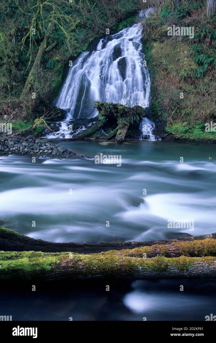 Cataratas, Nestuca River State Scenic Waterway, Oregon Foto de stock