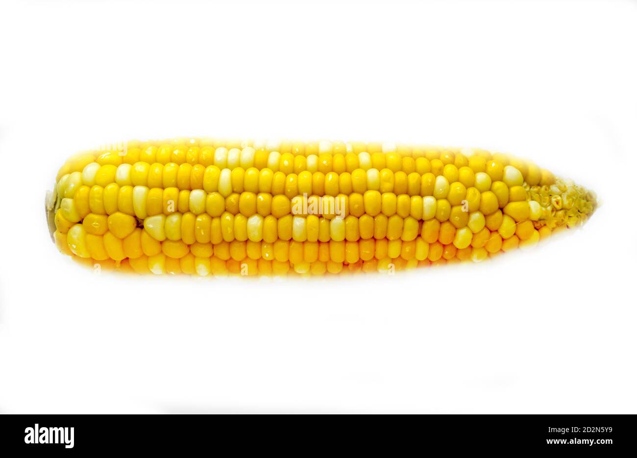 La naturaleza aislada de maíz amarillo. Foto de stock
