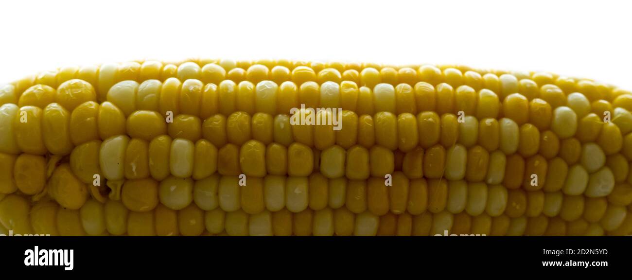 La naturaleza aislada de maíz amarillo. Foto de stock