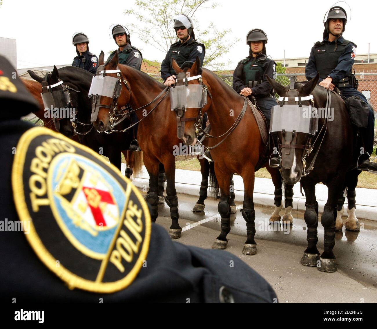 Members of the Toronto Police Mounted Unit which will provide security during the upcoming G8 and G20 Summits in Ontario are shown during a Integrated Security Unit (ISU) technical briefing for media in Toronto June 3, 2010. The ISU a joint security team led by the Royal Canadian Mounted Police (RCMP) in partnership with the Toronto Police Service, the Ontario Provincial Police (OPP), the Canadian Forces and Peel Regional Police. REUTERS/ Mike Cassese (CANADA - Tags: CRIME LAW ANIMALS) Foto de stock