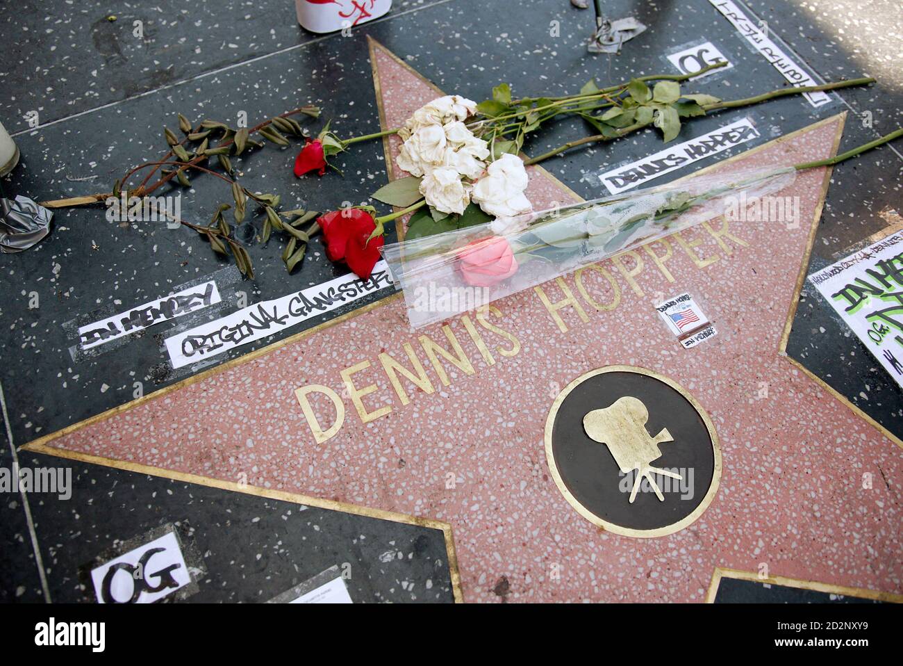 La estrella de Dennis Hopper en el Paseo de la Fama de Hollywood está adornada con flores y mensajes en su memoria, en California, 30 de mayo de 2010. Hopper, mejor conocido por dirigir y protagonizar en el clásico de culto de 1969 'Easy Rider', murió el 29 de mayo de 2010 en su casa en Venecia, California, por complicaciones del cáncer de próstata, dijo un amigo a Reuters. La tolva era 74. REUTERS/Danny Moloshok (ESTADOS UNIDOS - Tags: ENTRETENIMIENTO OBITUARIO) Foto de stock