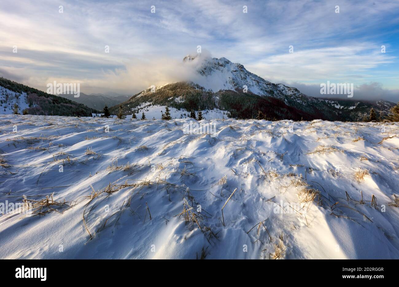 Campo de montaña con pico en invierno, paisaje nevado Foto de stock