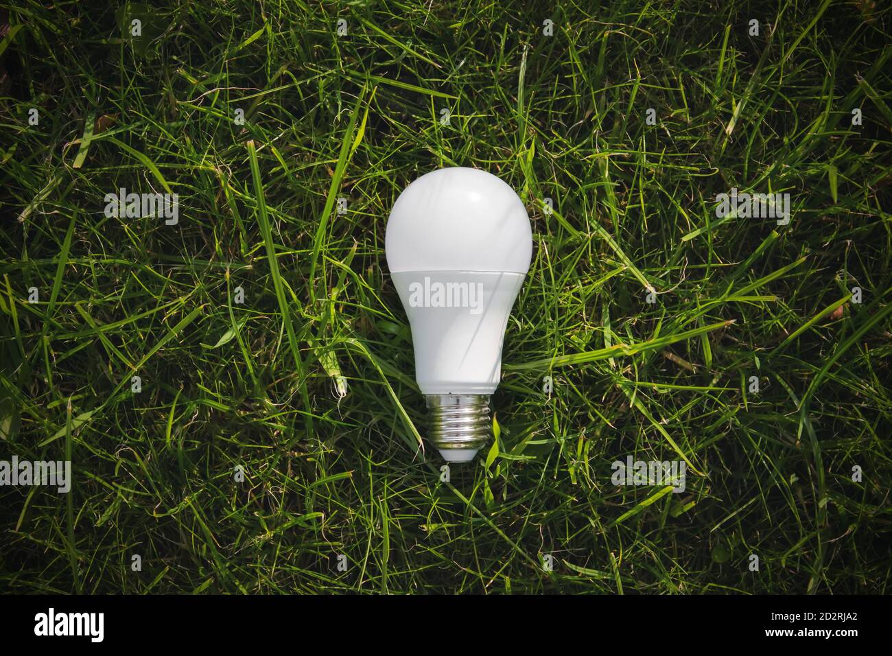 Vista superior de la lámpara sobre hierba verde, concepto de eficiencia energética Foto de stock