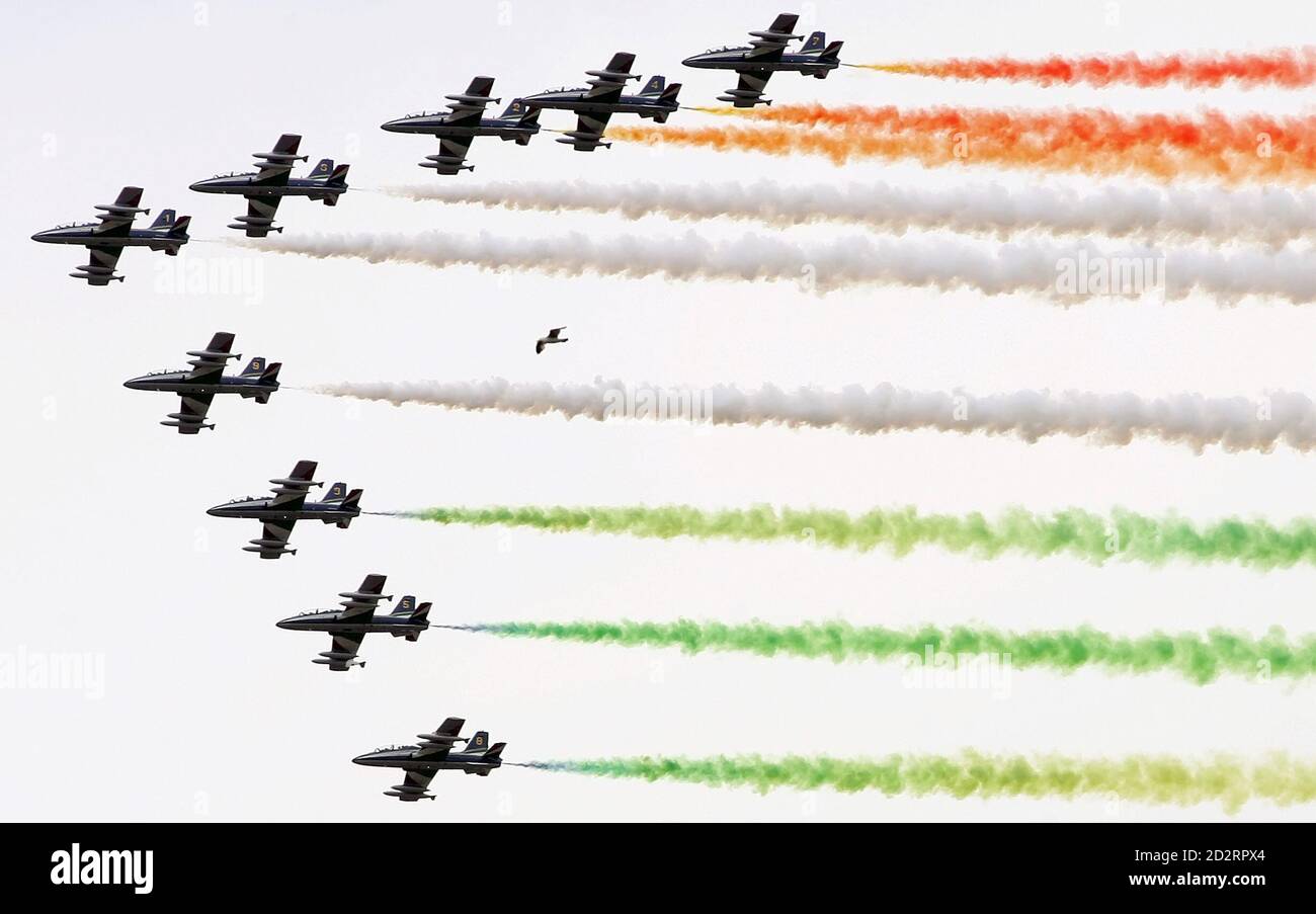 Una gaviota (C) vuela en el cielo mientras el escuadrón acrobático italiano Freccie Tricolori actúa para el 60 aniversario de la fundación de la República en Roma el 2 de junio de 2006. REUTERS/Alessandro Bianchi (ITALIA) Foto de stock