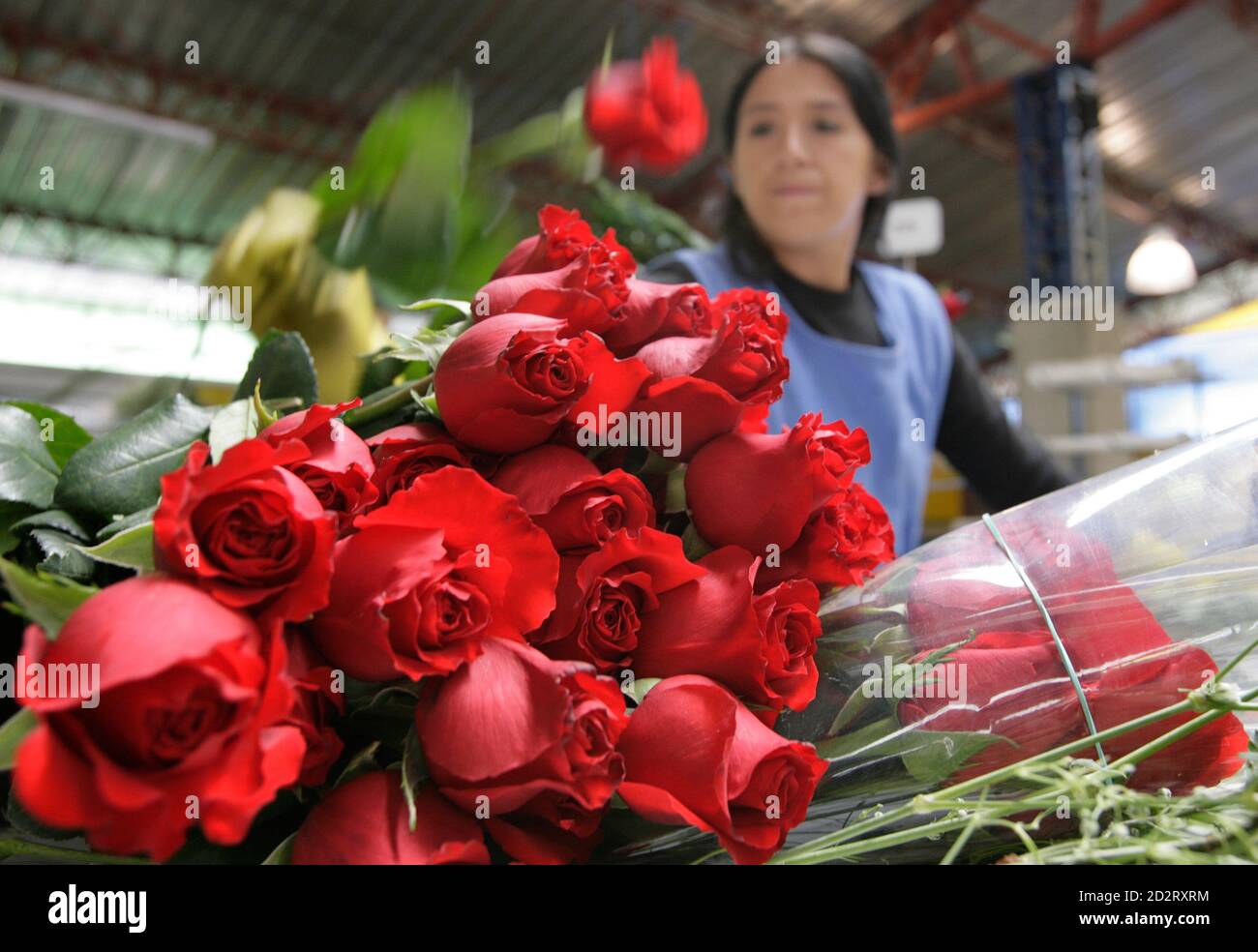 Rosas colombianas fotografías e imágenes de alta resolución - Alamy