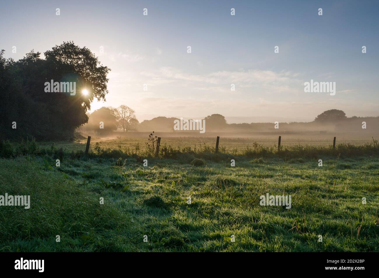 Un brumoso amanecer otoñal por la mañana sobre la campiña de North Somerset cerca de Wrington, Inglaterra. Foto de stock