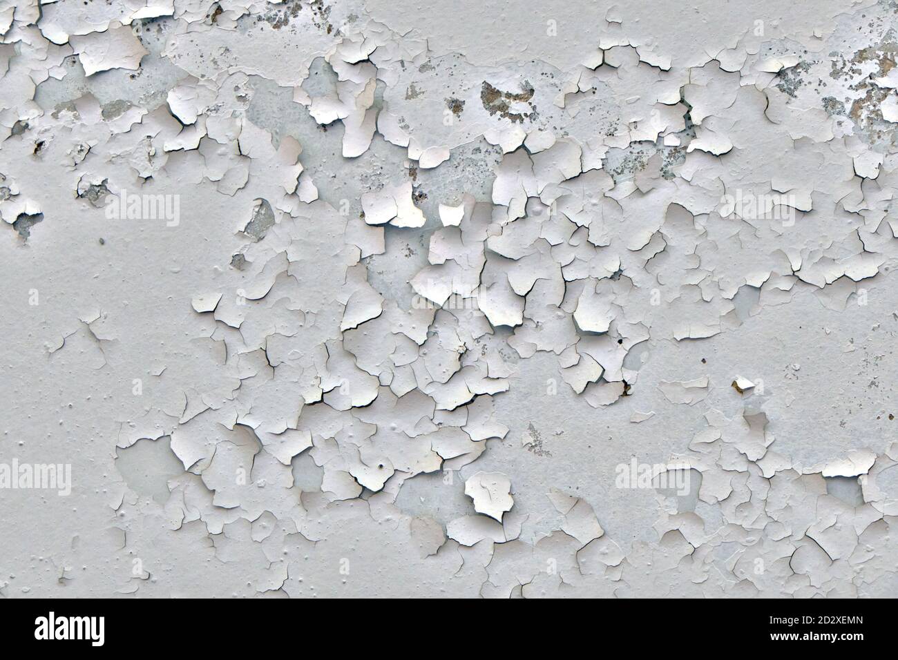 La textura de la pintura blanca pelada en la pared. Pintura agrietada de la  superficie vieja. Fondo de yeso pelando de la pared Fotografía de stock -  Alamy