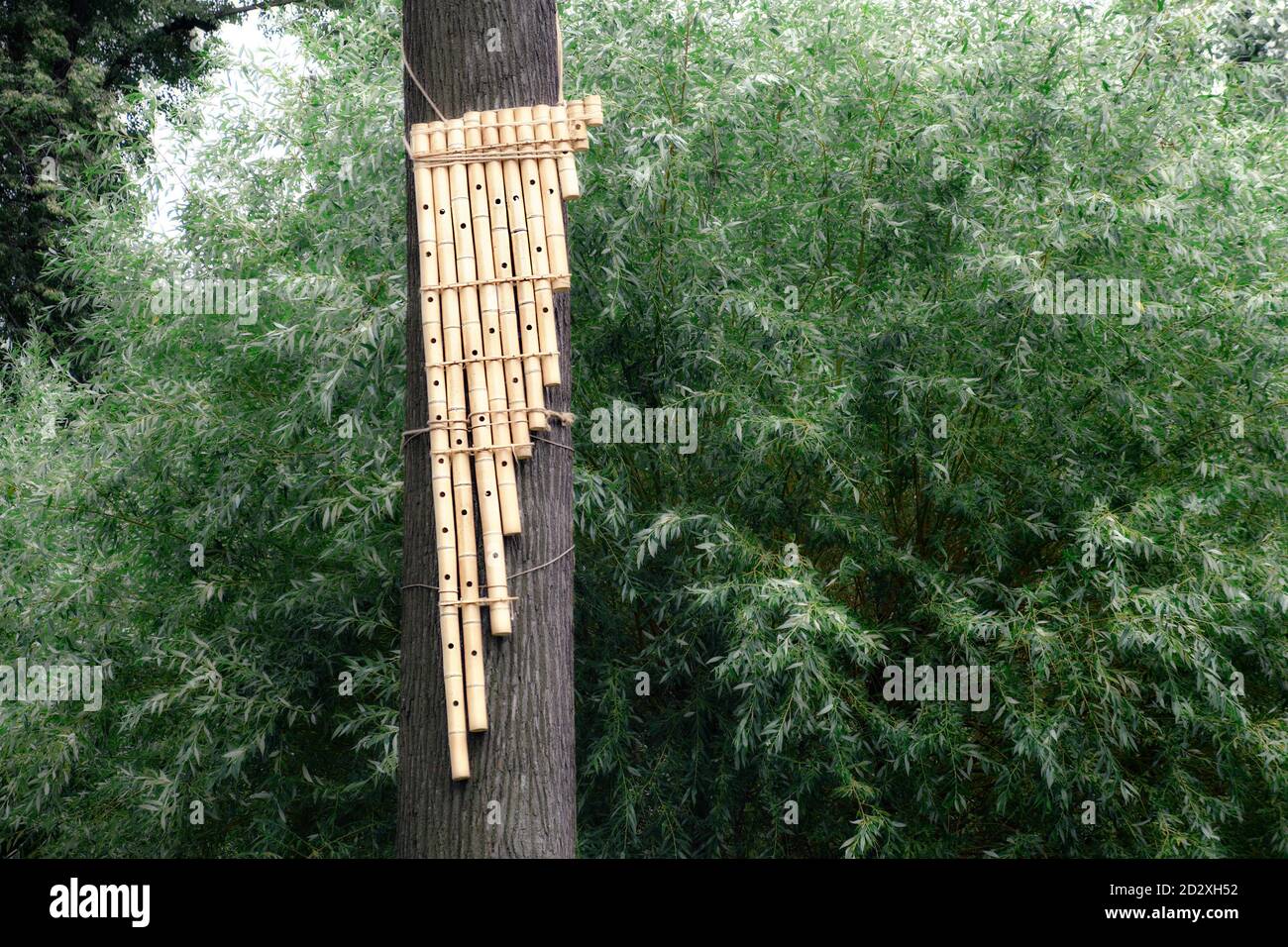 Flauta De Pan Gigante En Un Arbol Gran Instrumento Musical En El Bosque Fotografia De Stock Alamy alamy