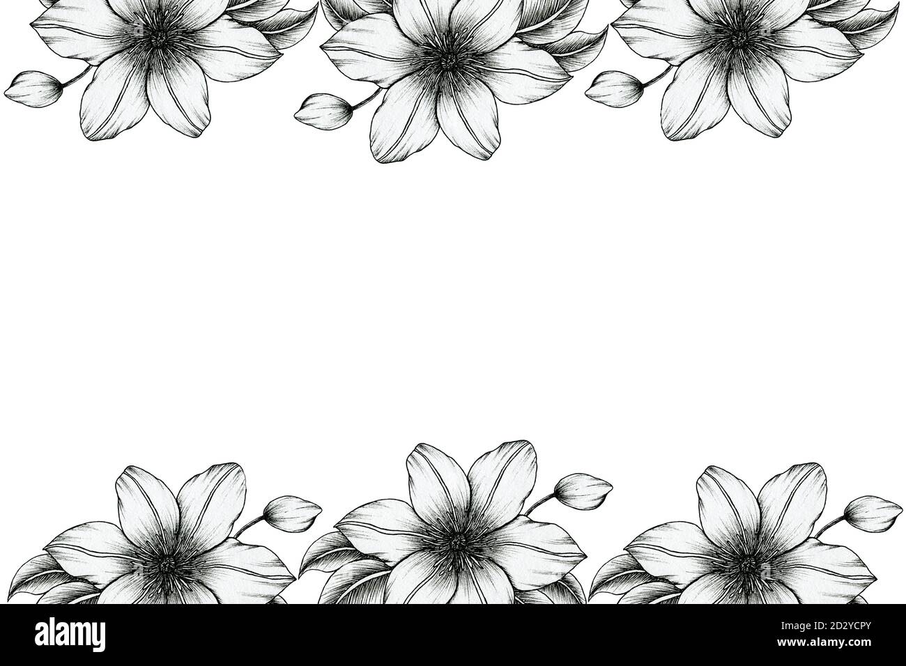 marco floral negro vintage con flores clematis dibujadas a mano, diseño de marco floral de tinta negra para invitaciones de boda, día de la madre o celebraciones Fotografía de stock - Alamy marco floral negro vintage con flores clematis dibujadas a mano, diseño de marco floral de tinta negra para invitaciones de boda, día de la madre o celebraciones Fotografía de stock - Alamy