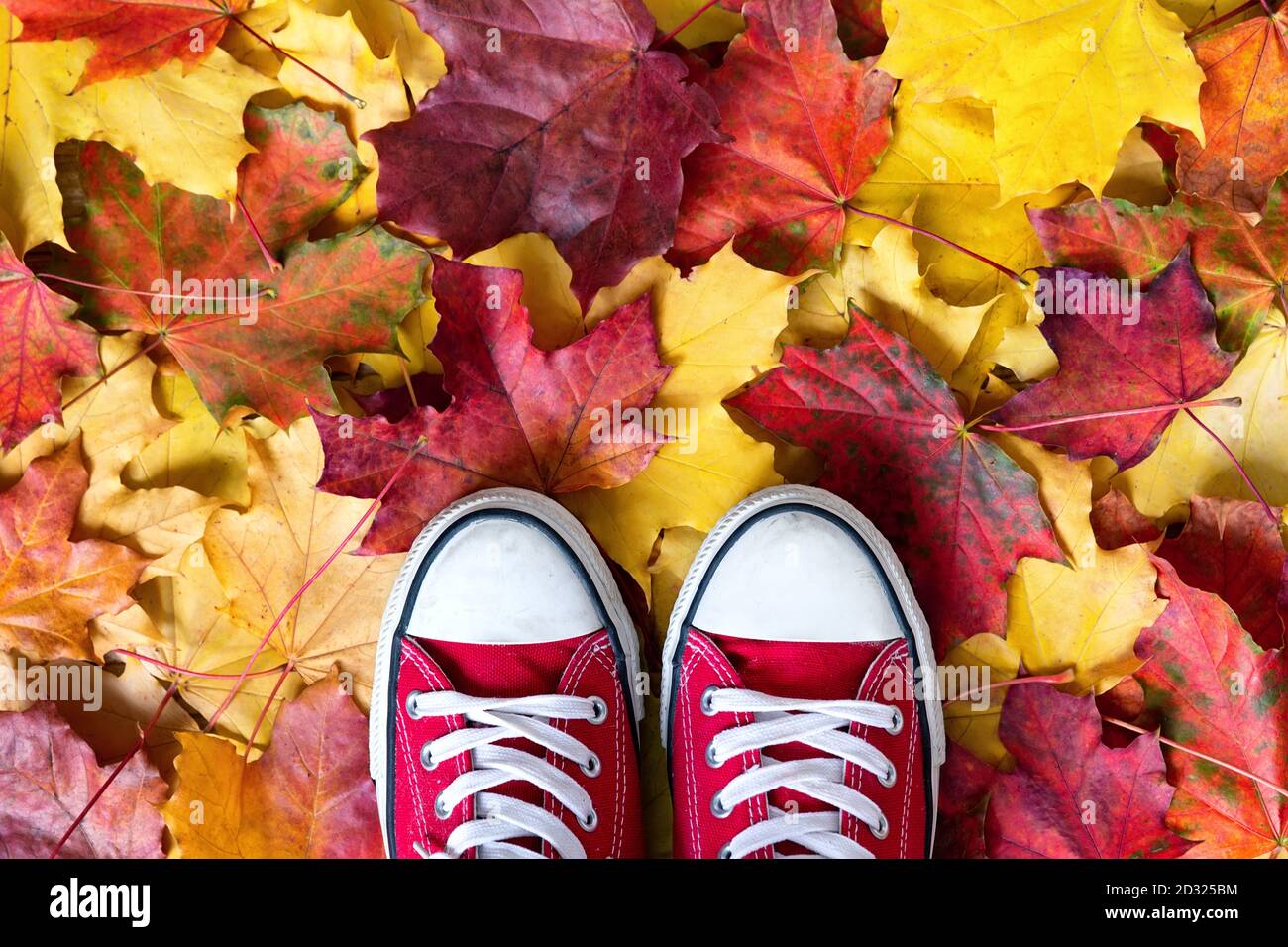 Zapatillas de lona rojas sobre un fondo amarillo otoñal. Temporada de otoño en rojo shipster zapatos, copiar espacio. Foto de stock