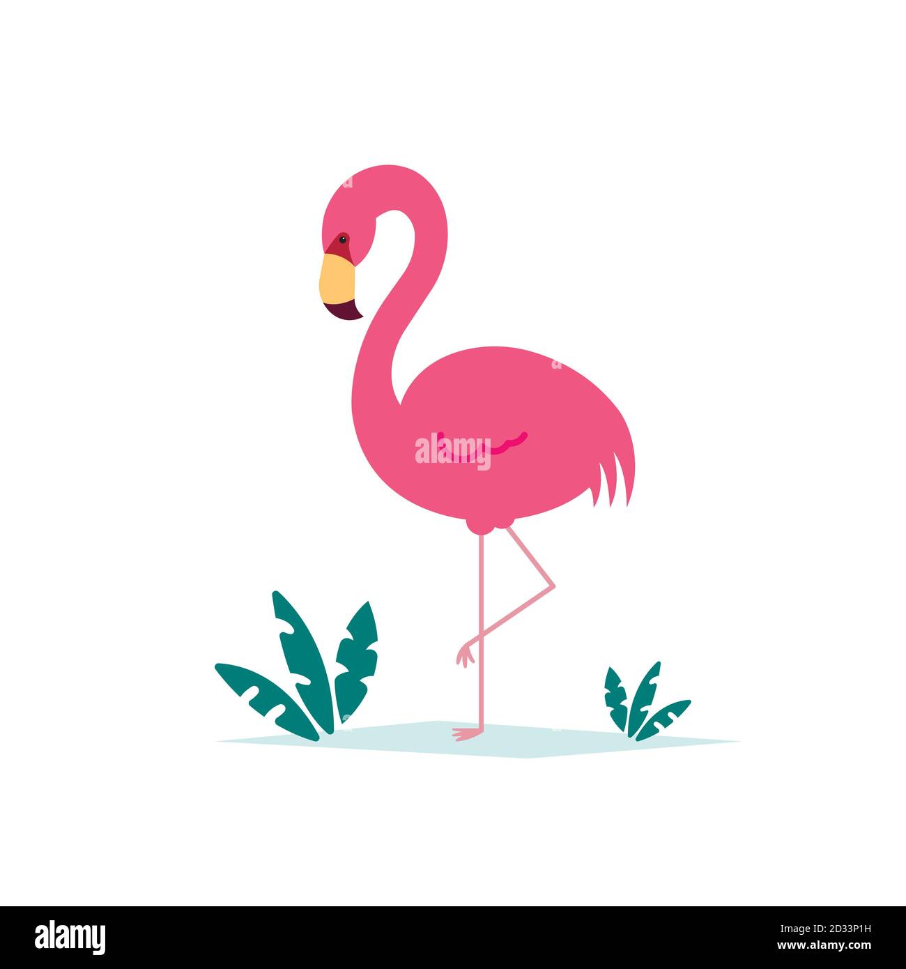 Ilustración vectorial de flamenco rosa aislada sobre fondo blanco con