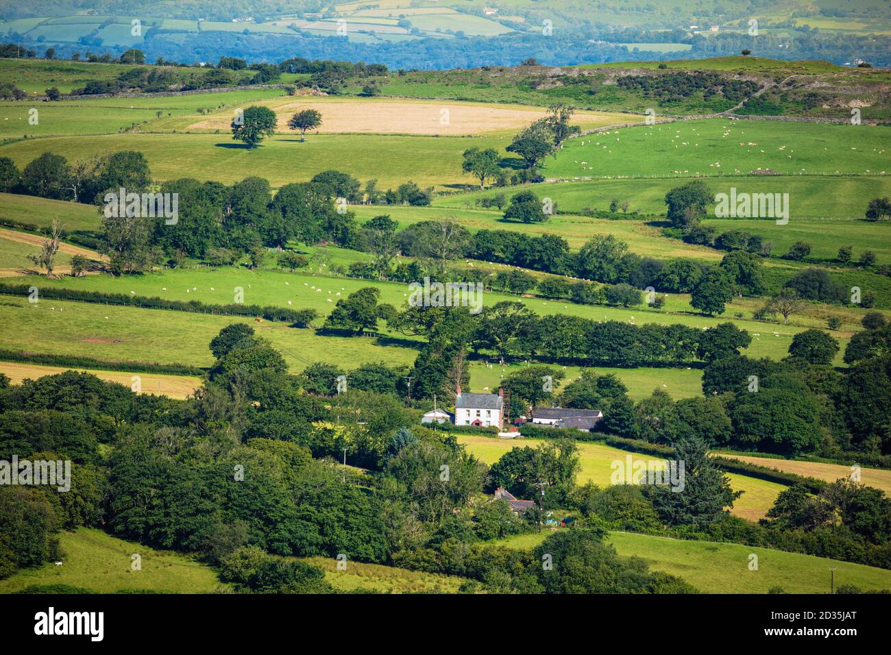 Reino Unido, Gales, Carmarthenshire, Llandeilo, Parque Nacional Brecon Beacons. Escena rural de campos, hedgerows, páramos y una casa tradicional galesa blanca Foto de stock