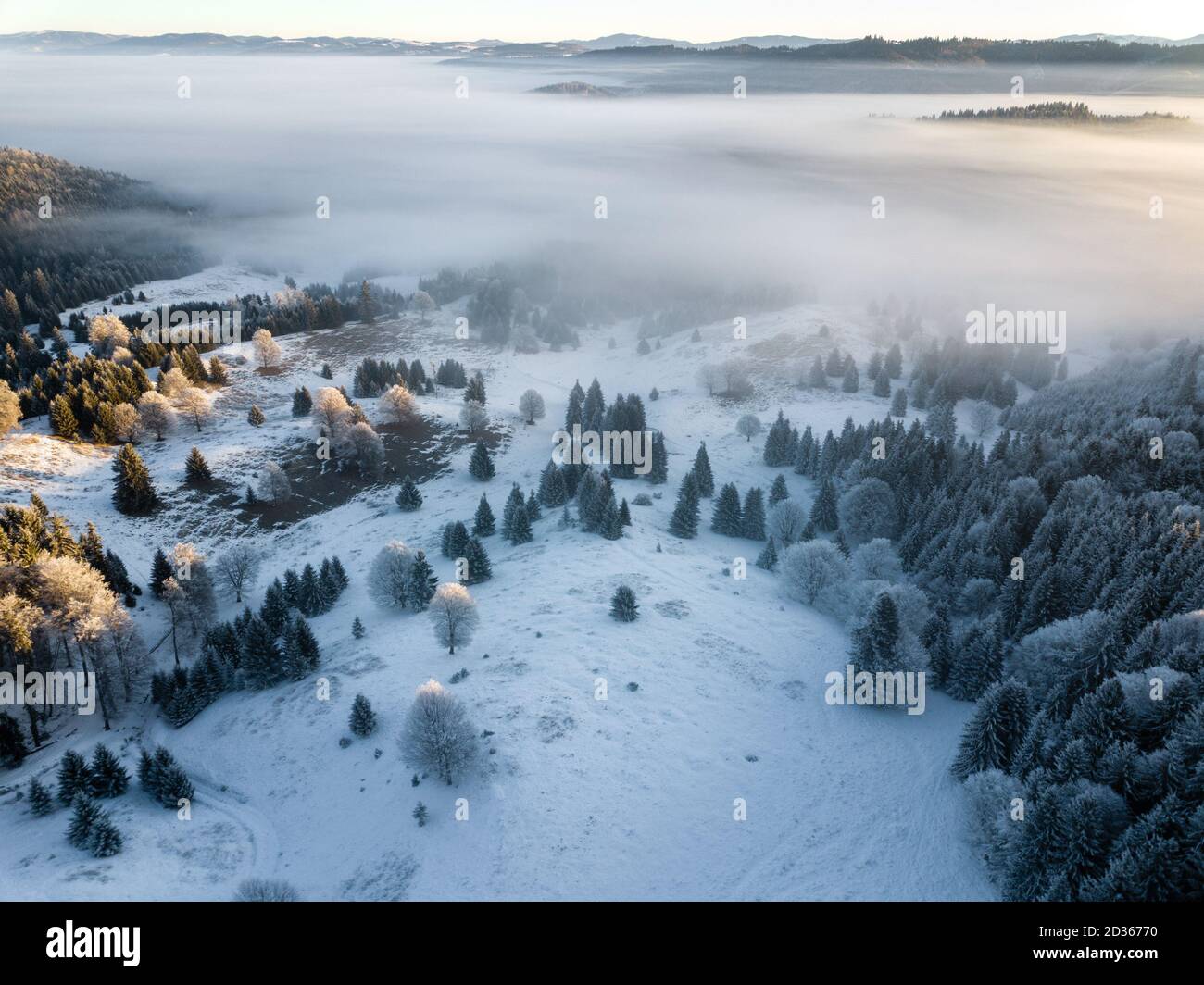 Árboles congelados cubiertos de nieve en el amanecer, capturados desde arriba con drones. Invierno naturaleza fondo. Transilvania, Rumania. Foto de stock