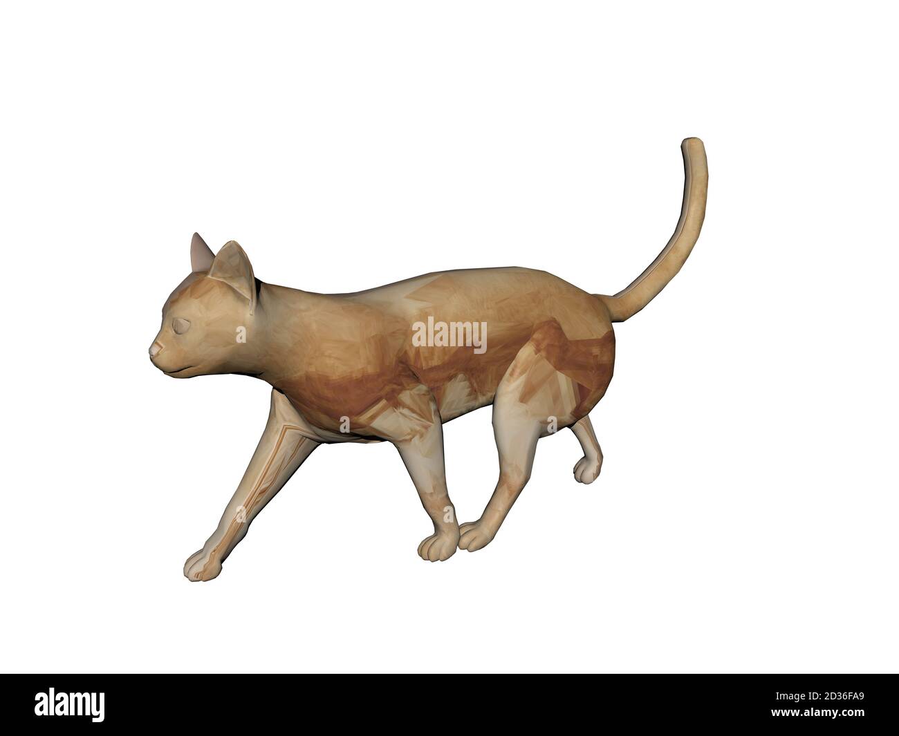 gato callejero con cola larga en torno a Fotografía de stock - Alamy
