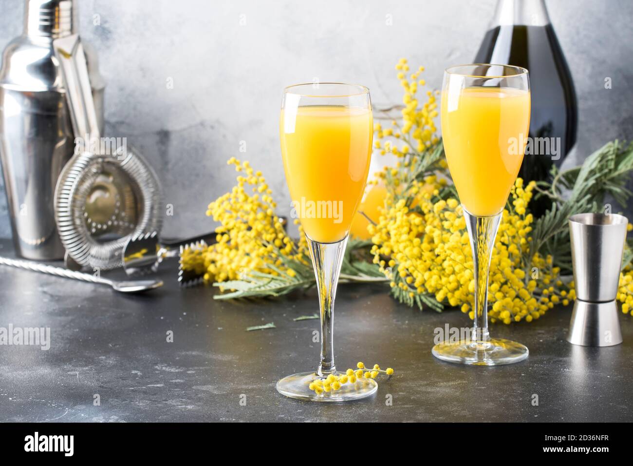 comentario Mierda Caballo Cóctel de alcohol de primavera mimosa con jugo de naranja y champagne seco  frío o vino espumoso en copas, barra gris de fondo con flores de yelow  Fotografía de stock - Alamy