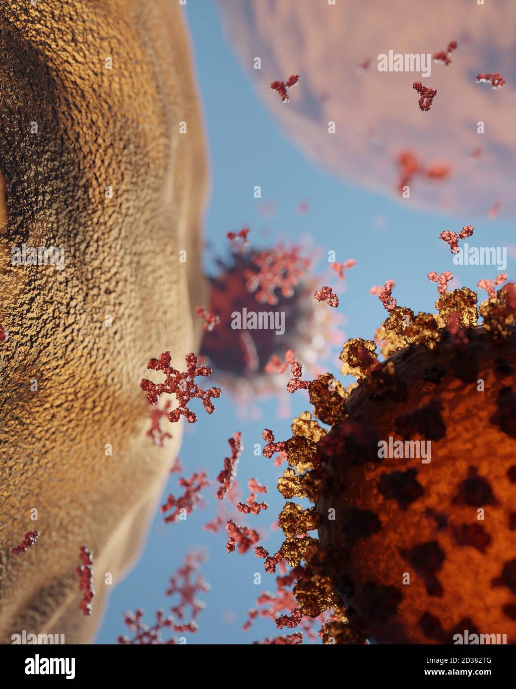Virus de la corona (Covid 19) infectando una célula. Los cuerpos de las organizaciones están presentes. Un modelo preciso basado en datos estructurales científicos del Banco de datos sobre proteínas. Foto de stock