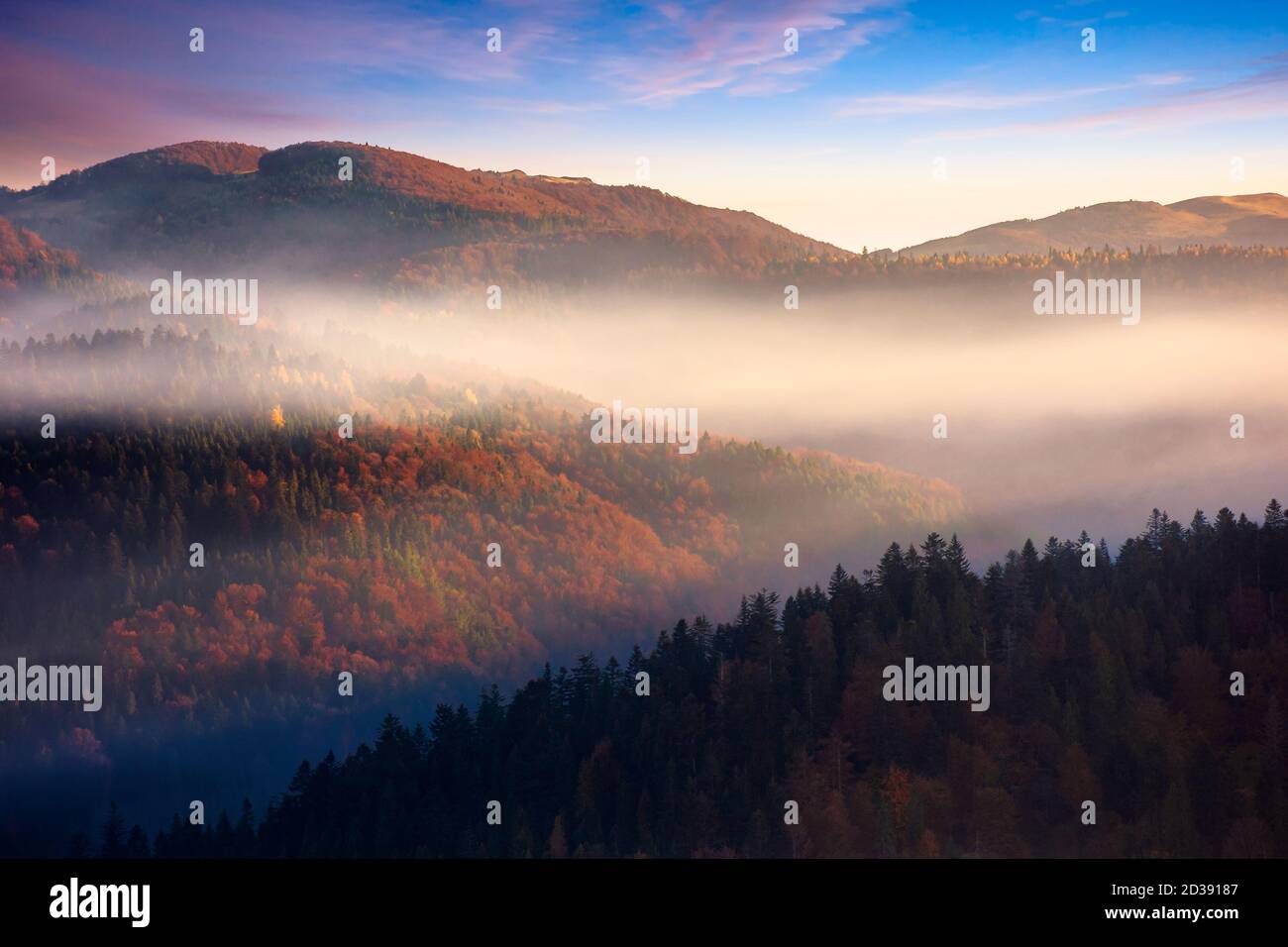 colinas onduladas en niebla al amanecer. hermoso paisaje de montaña en la temporada de otoño. nubes en el cielo de la mañana. espectacular paisaje natural Foto de stock