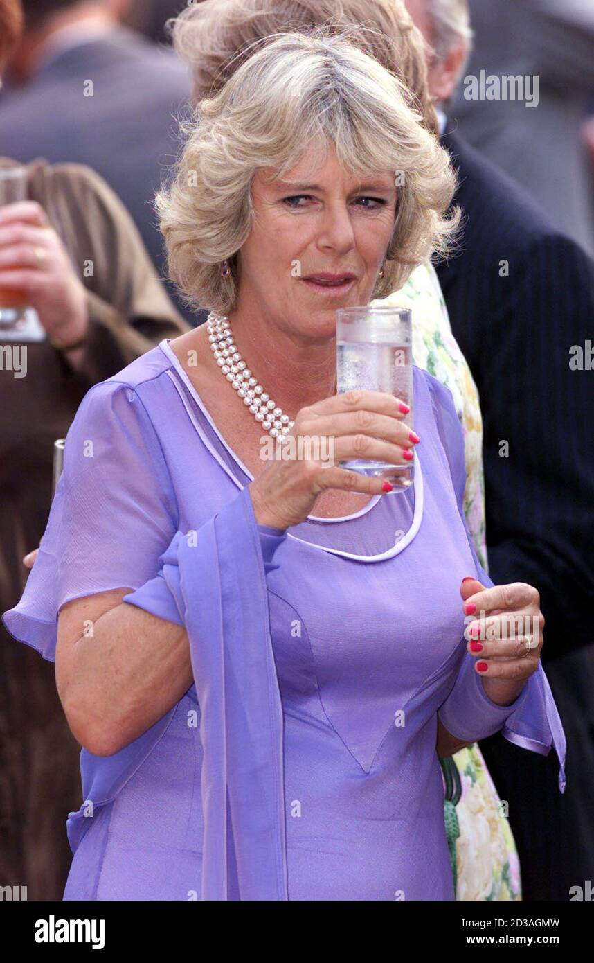 La Companera Del Principe Carlos Camilla Parker Bowles Bebe Un Vaso De Agua En Las Celebraciones Del 15º Cumpleanos De La Sociedad Nacional De Osteoporosis En Somerset House Londres 26 De Junio La Companera Del Principe Carlos Camilla Parker Bowles Bebe Un Vaso De Agua En Las Celebraciones Del 15º Cumpleanos De La Sociedad Nacional De Osteoporosis En Somerset House Londres 26 De Junio