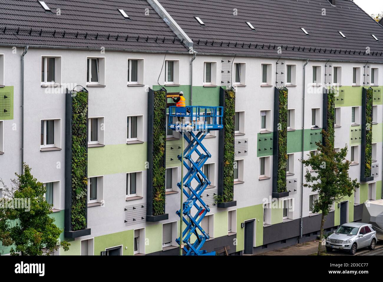 Instalación de la fachada verde en 4 edificios de apartamentos, en Gladbecker Strasse, B224, deben filtrar óxidos de nitrógeno y partículas finas de polvo Foto de stock