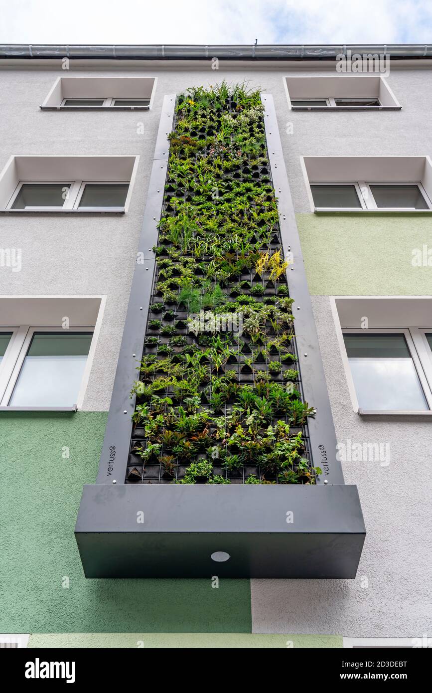 Instalación de la fachada verde en 4 edificios de apartamentos, en Gladbecker Strasse, B224, deben filtrar óxidos de nitrógeno y partículas finas de polvo Foto de stock