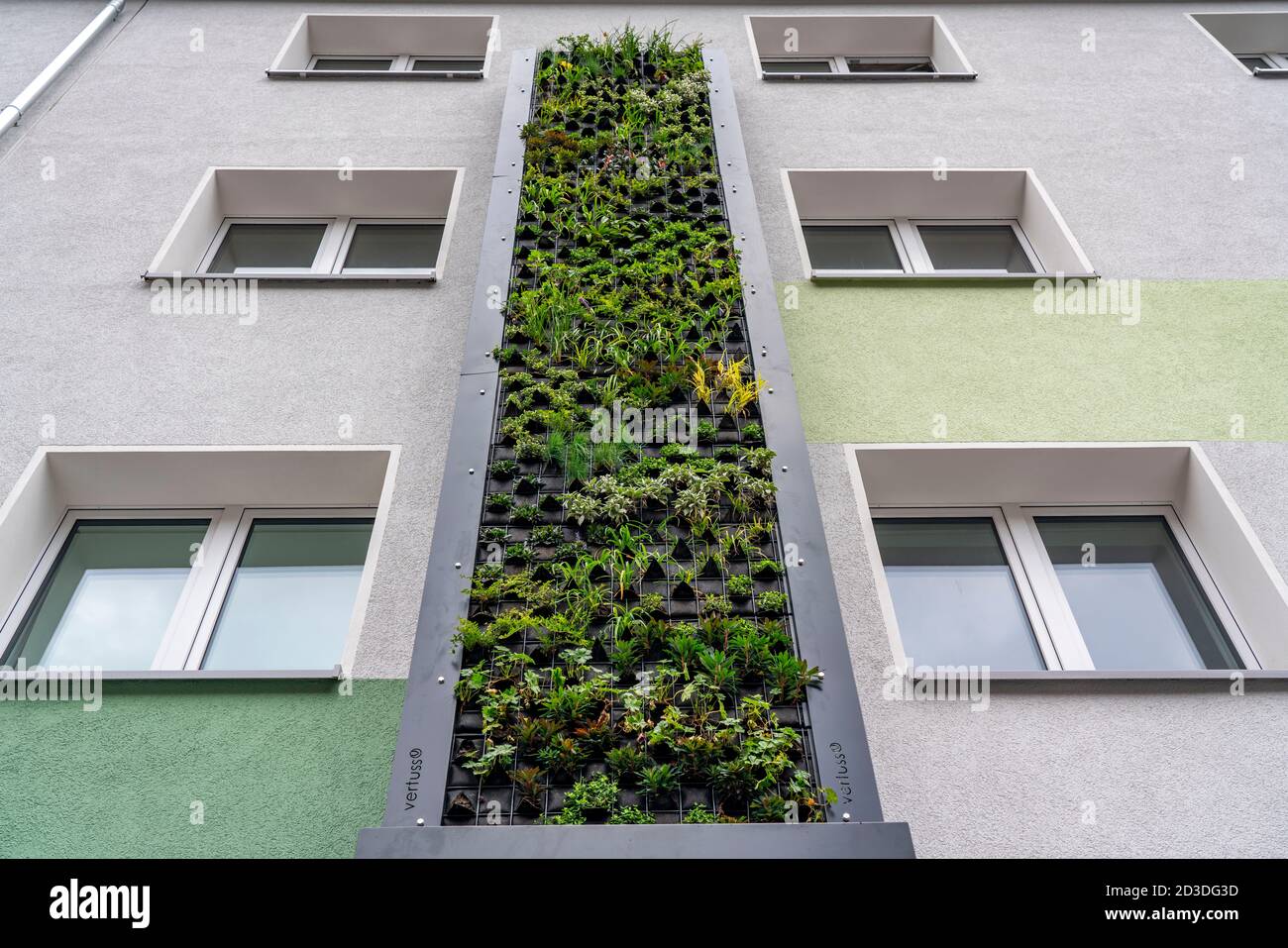 Instalación de la fachada verde en 4 edificios de apartamentos, en Gladbecker Strasse, B224, deben filtrar óxidos de nitrógeno y partículas finas de polvo Foto de stock