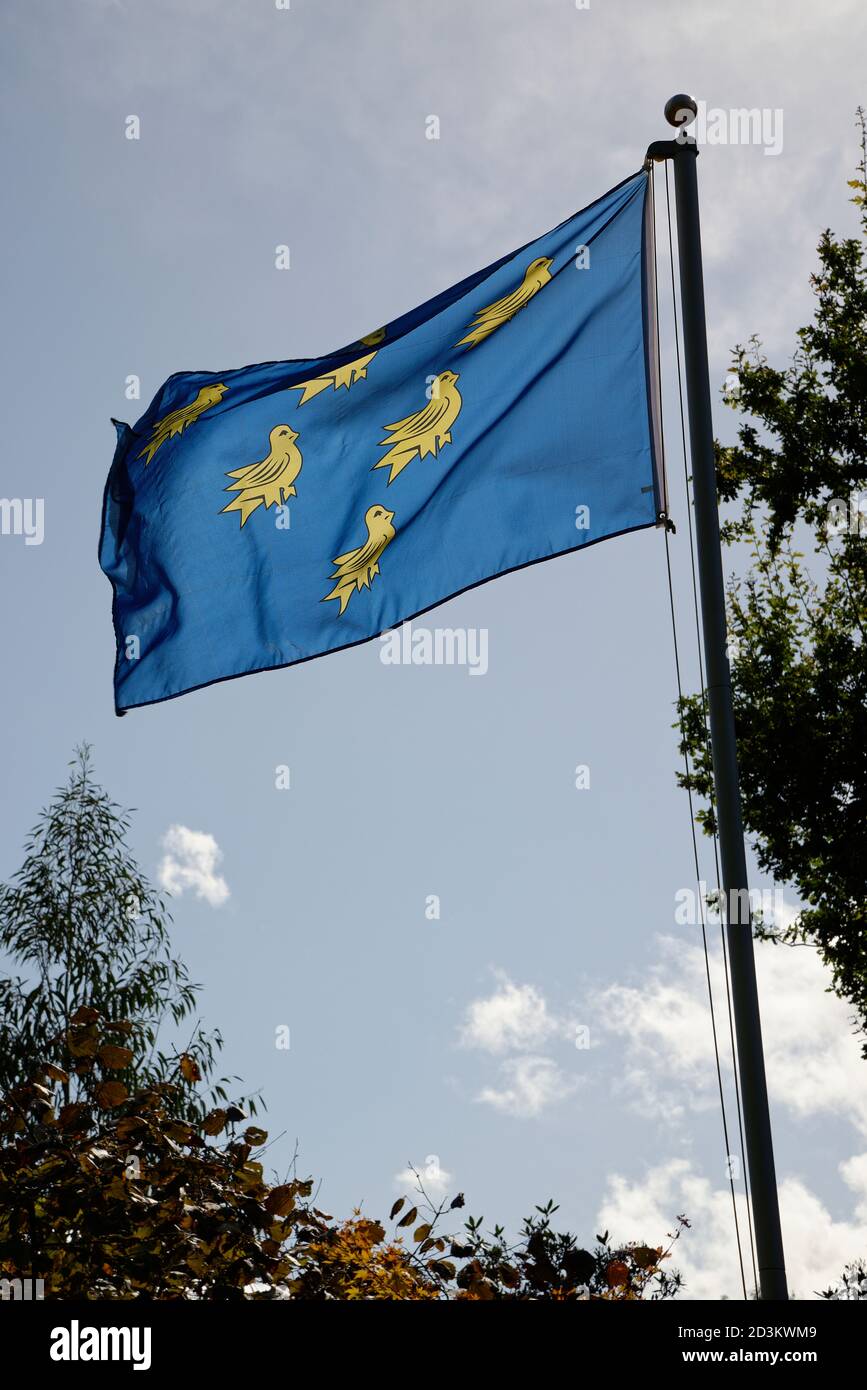 Los seis martlets de oro sobre fondo azul es el escudo heráldico oficial de Sussex, un condado de Inglaterra. Foto de stock