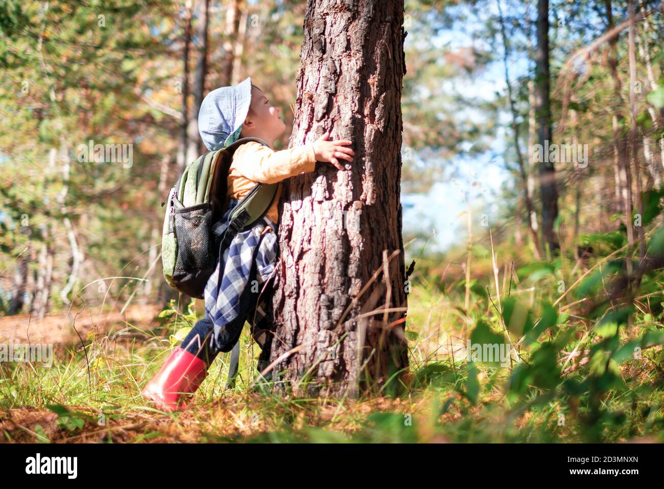 Un niño pequeño en un suéter amarillo abraza un pino en el bosque otoñal. Infancia con concepto amante de la naturaleza Foto de stock