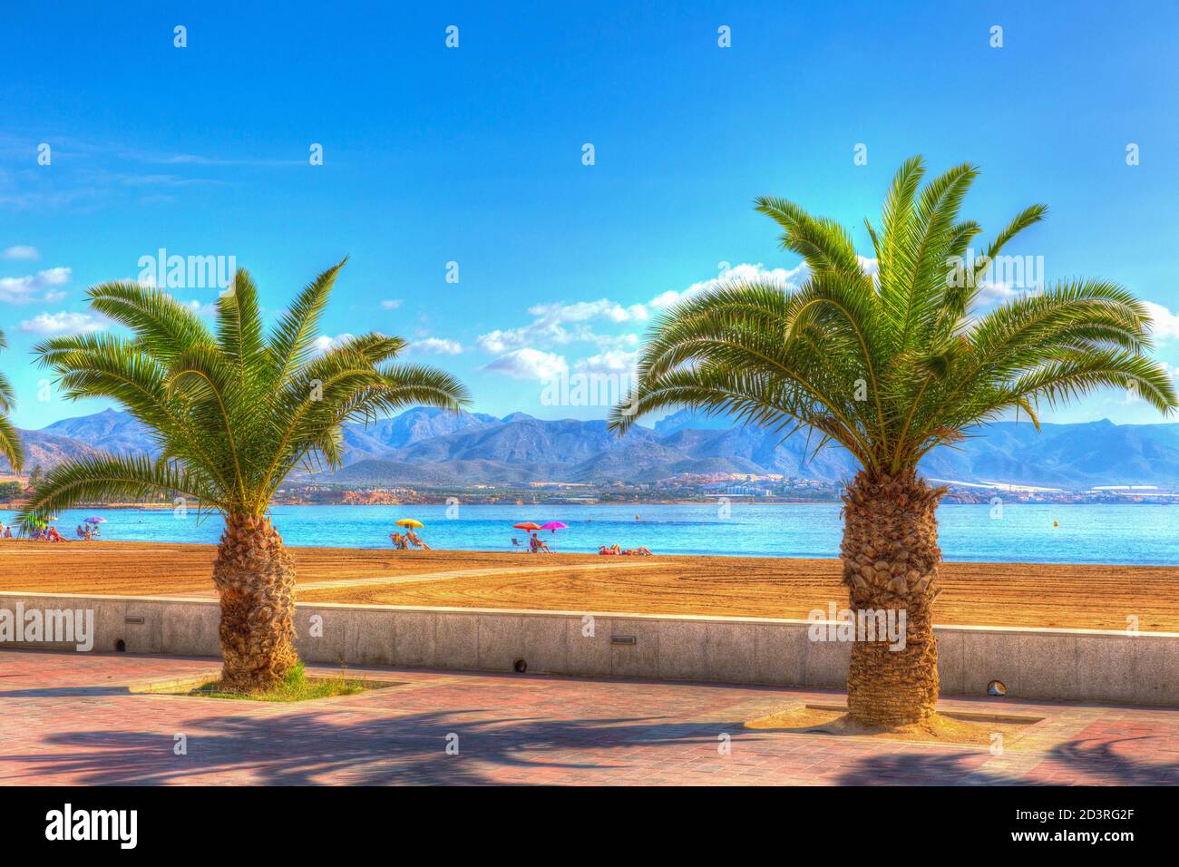 Palmeras Puerto de Mazarrón playa Murcia España brillante vivo colores  Fotografía de stock - Alamy