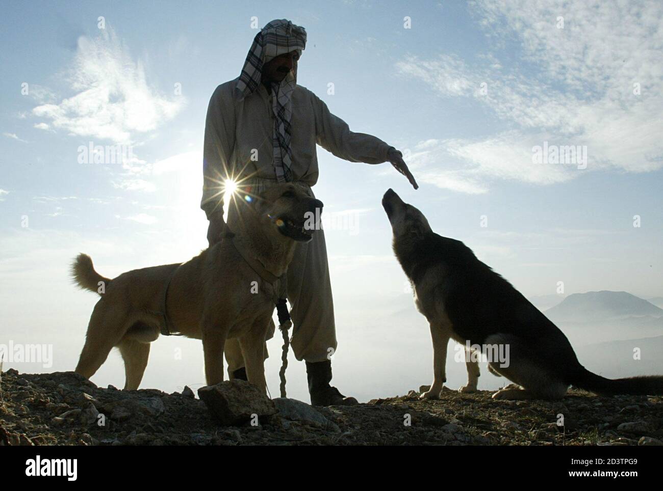Mahboob Nasari Bakshi, entrenador de perros afgano, juega con sus perros  disco y Sher (L) en la cima de una colina en Kabul Janaury 12, 2003. Su  perro Sher es un luchador