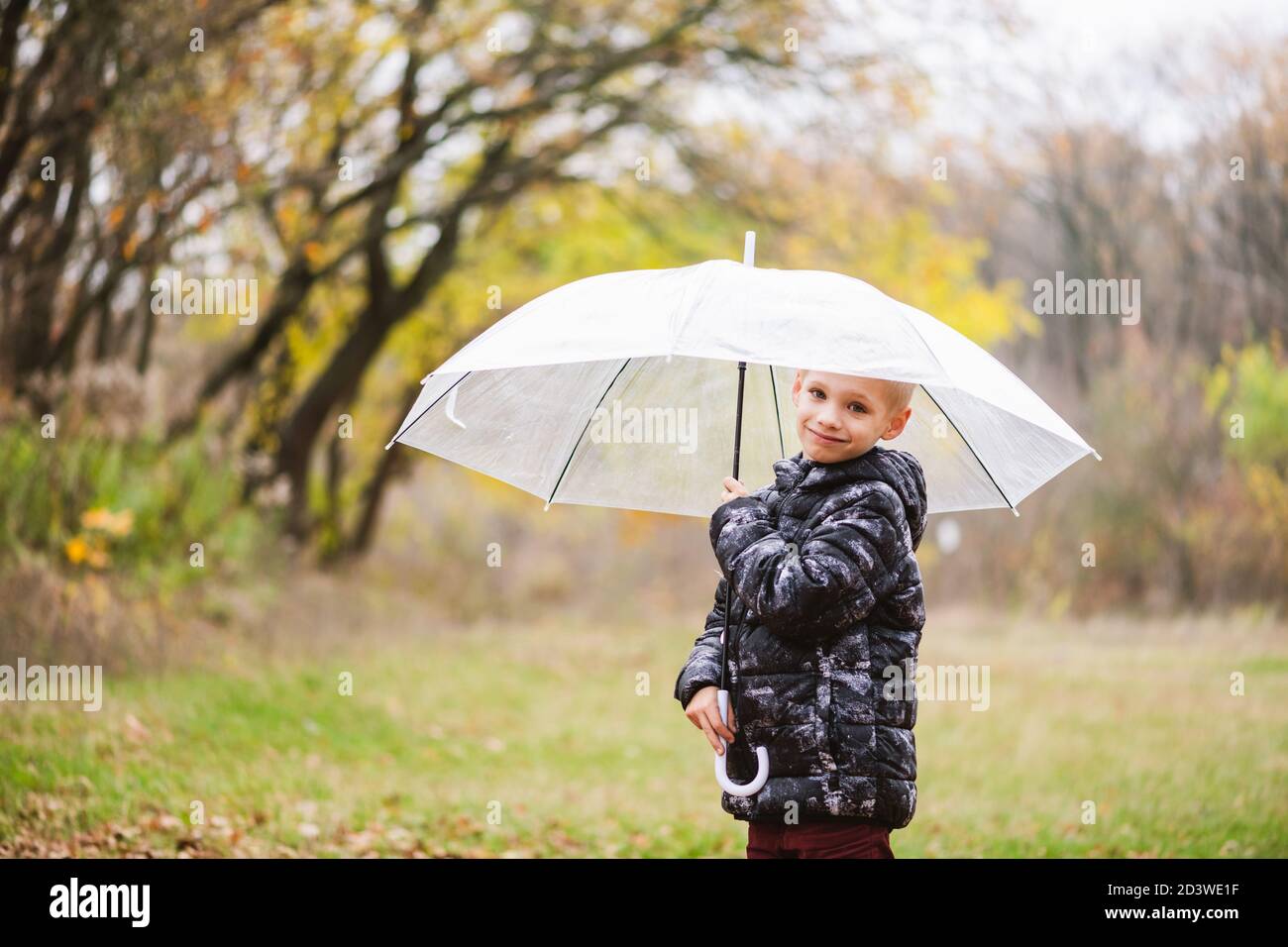 Varón niño en edad escolar primaria posando con paraguas transparente grande  bajo la lluvia durante la caminata al caer la naturaleza de fondo  Fotografía de stock - Alamy