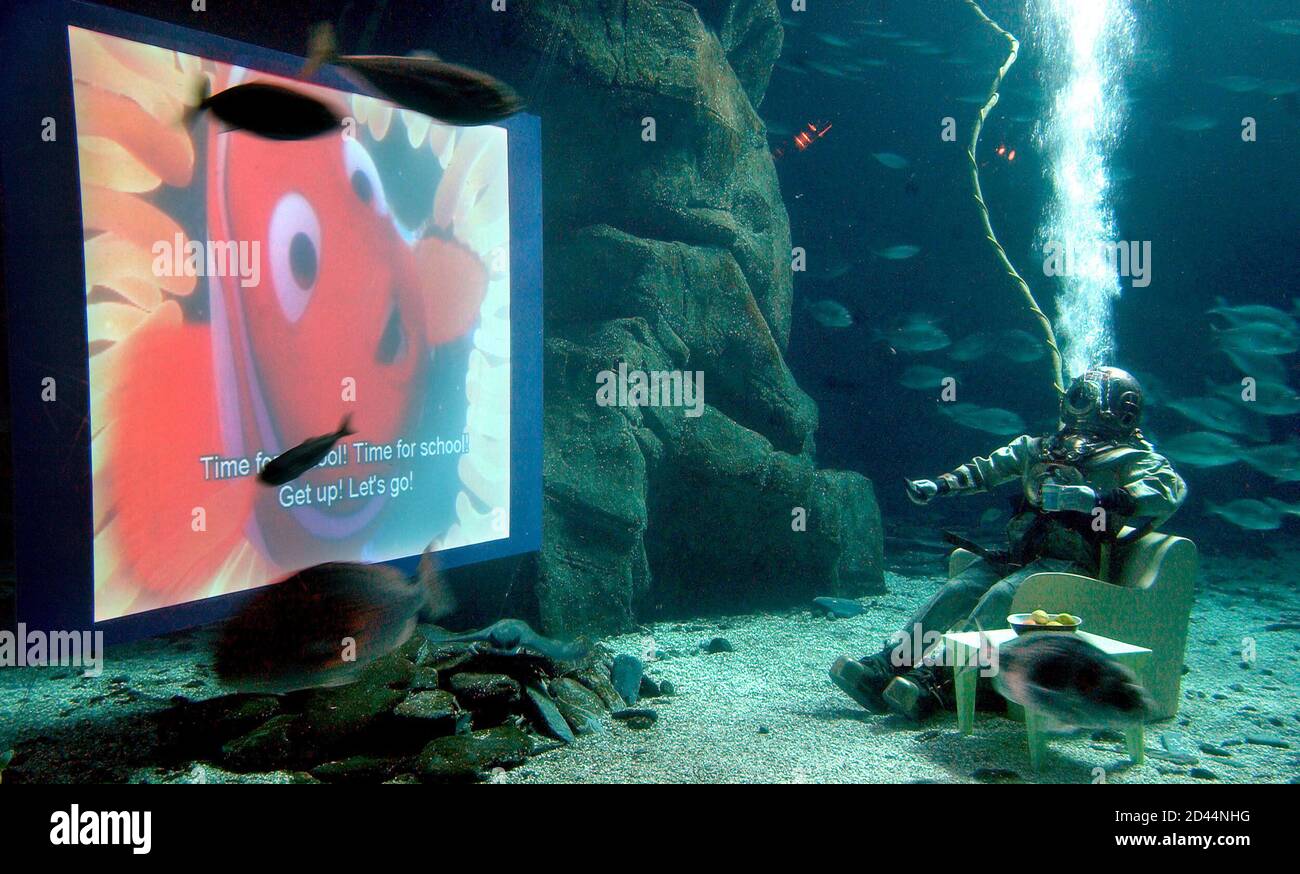 El recaudador de fondos británico Lloyd Scott observa la animación de  Disney 'Finding Nemo' en una pantalla sumergida en un tanque en el Acuario  de Londres para recaudar dinero para la organización