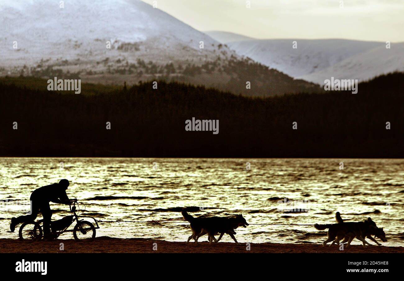 Andy Smales de Milton Keynes dirige sus perros Huskie a lo largo de la orilla del lago Morlich en Escocia, 23 de enero de 2003. Alrededor de 200 entusiastas de perros de trineo se reunirán en Loch Morlich cerca de Aviemore este fin de semana, para participar en el Royal Canin Sledge Dog Rally. REUTERS/Jeff J Mitchell DCS/MD/WS Foto de stock