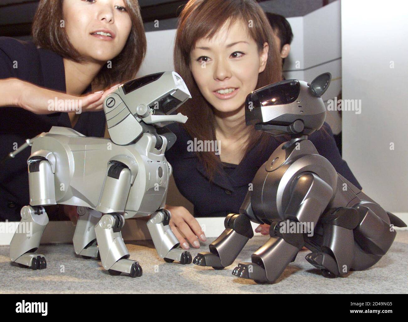 Sony's second-generation "Aibo" (R) faces the original toy dog at the  unveiling of the company's latest entertainment robot in Tokyo October 12,  2000. Sony Corp let its new robot pet, complete with