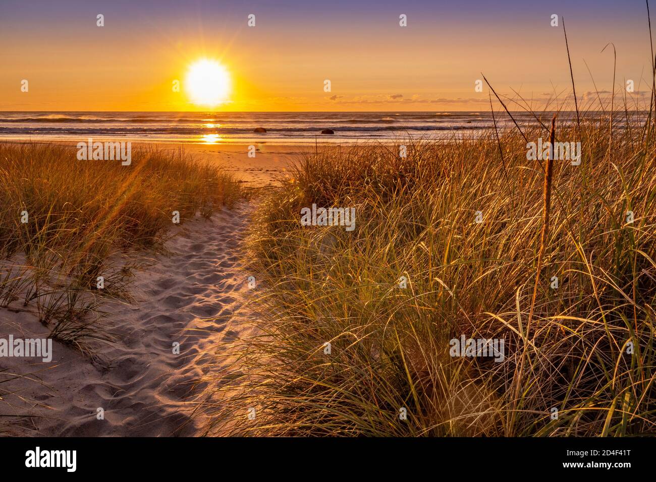 Salida del sol con sendero y hierba de dunas de arena, playa Narragansett, Rhode Island EE.UU. Foto de stock