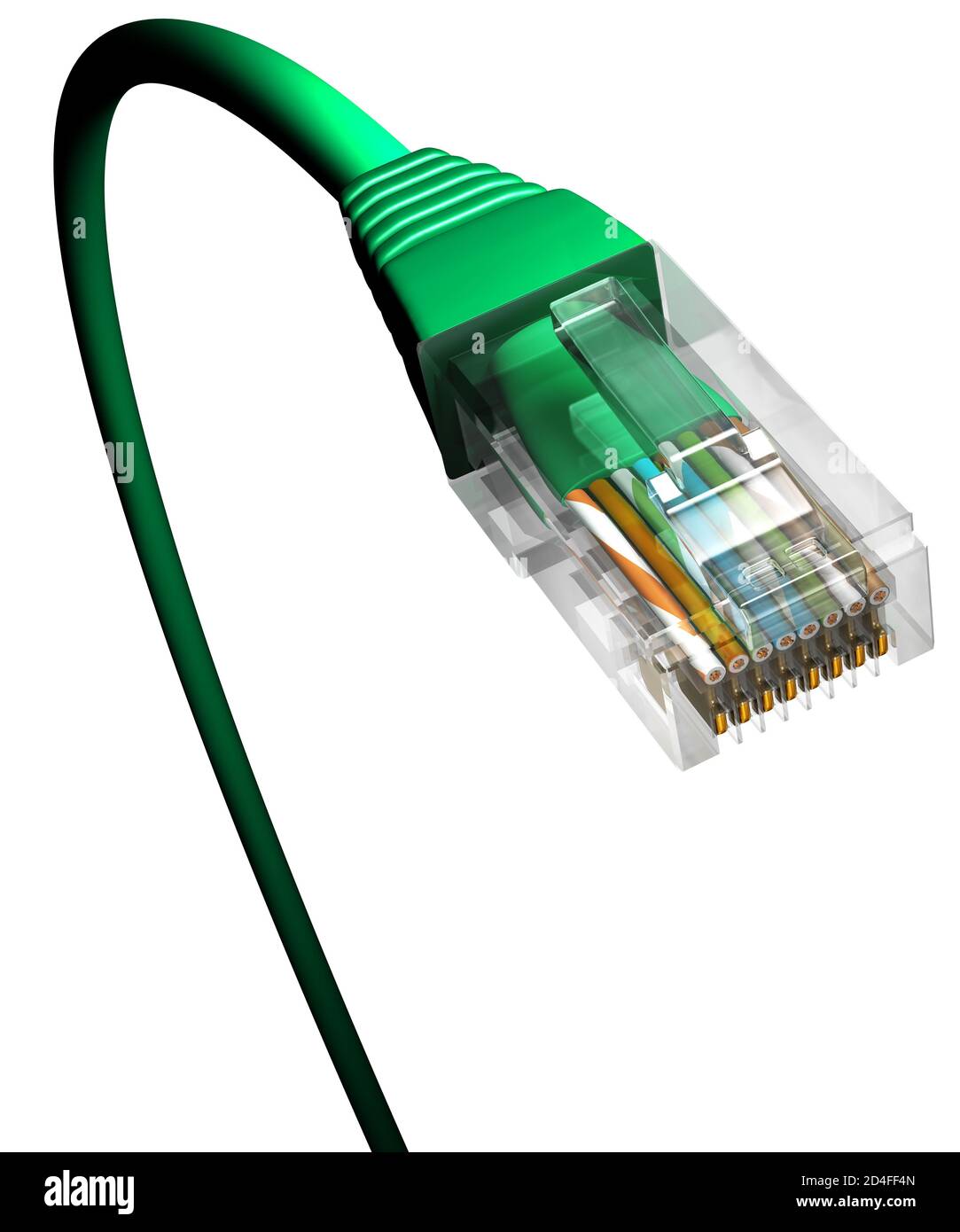 Cable Ethernet, primer plano, planta verde, fondo blanco. Foto de stock