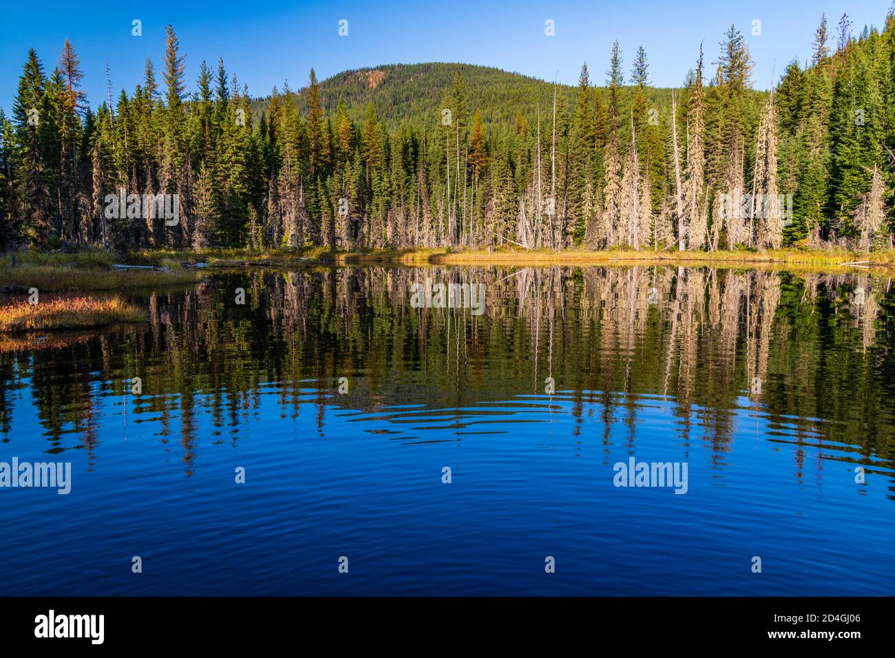 Huff Lake en el condado de Pend Oreille, estado de Washington Foto de stock