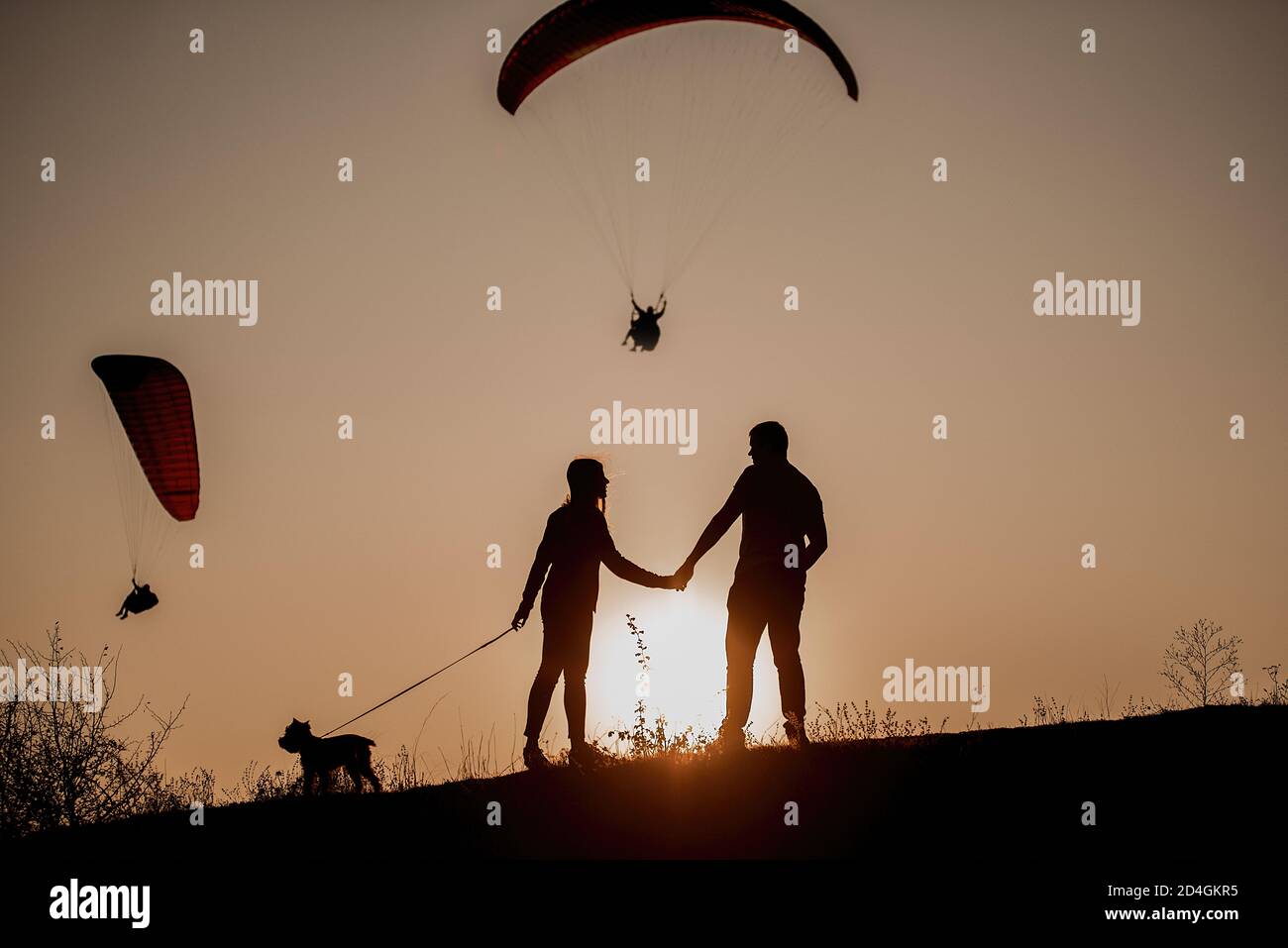Una familia viaja con su perro Schnauzer. Siluetas sobre un fondo de puesta de sol. Familia en un viaje mirada a un parapente vuelo parapente vuelo Foto de stock