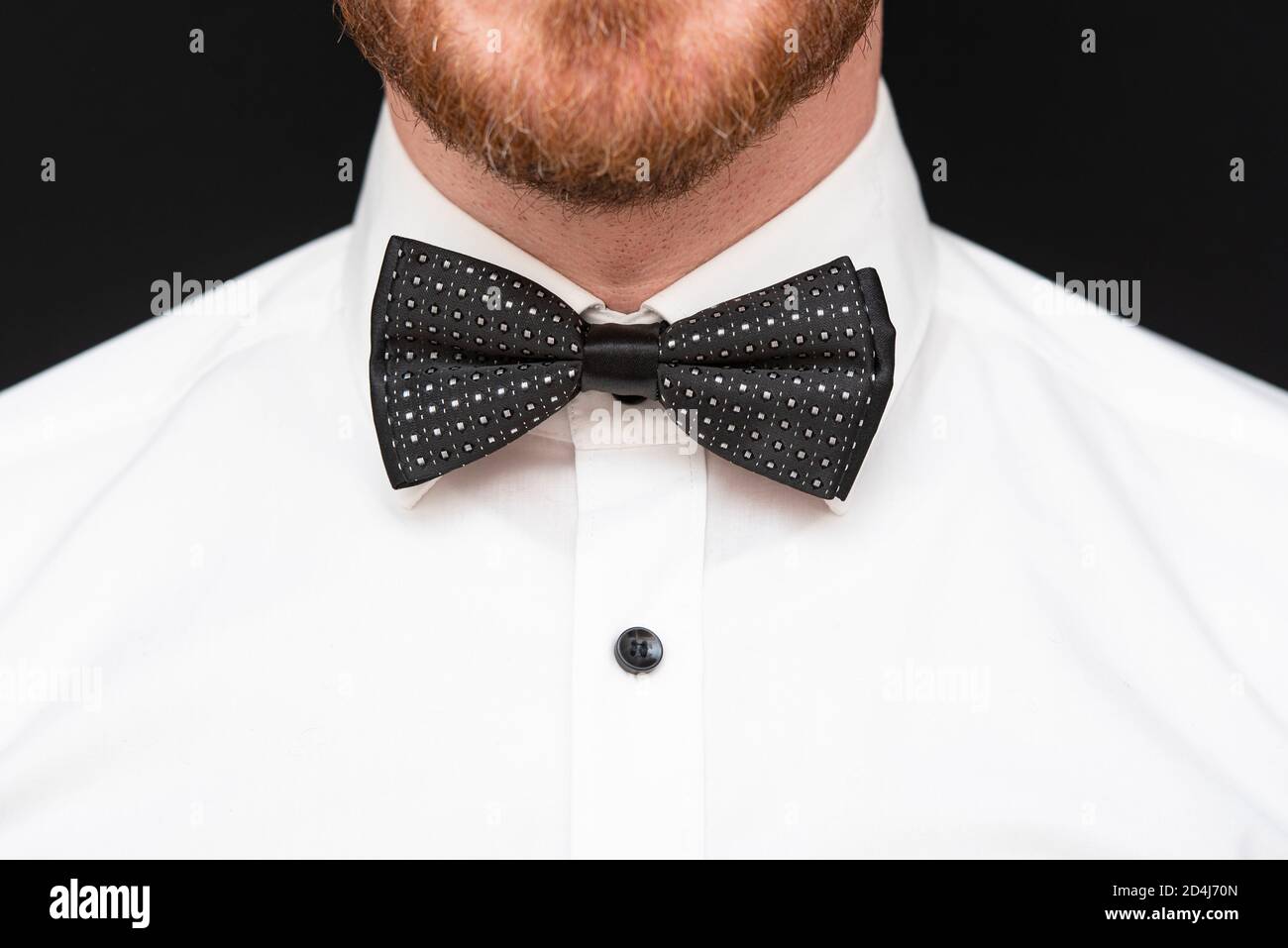 Hombre de pelirroja con barba roja vestida de pajarita negra y.. camisa  blanca Fotografía de stock - Alamy