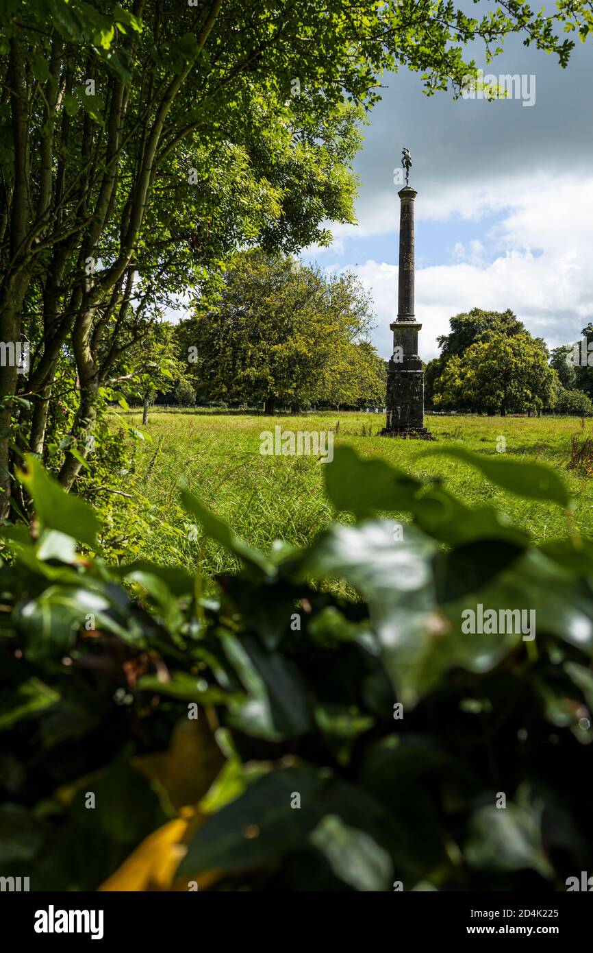Monumento de columna alta con figura en la parte superior en los terrenos de la finca Furness Manor en Naas, Condado de Kildare, Irlanda Foto de stock