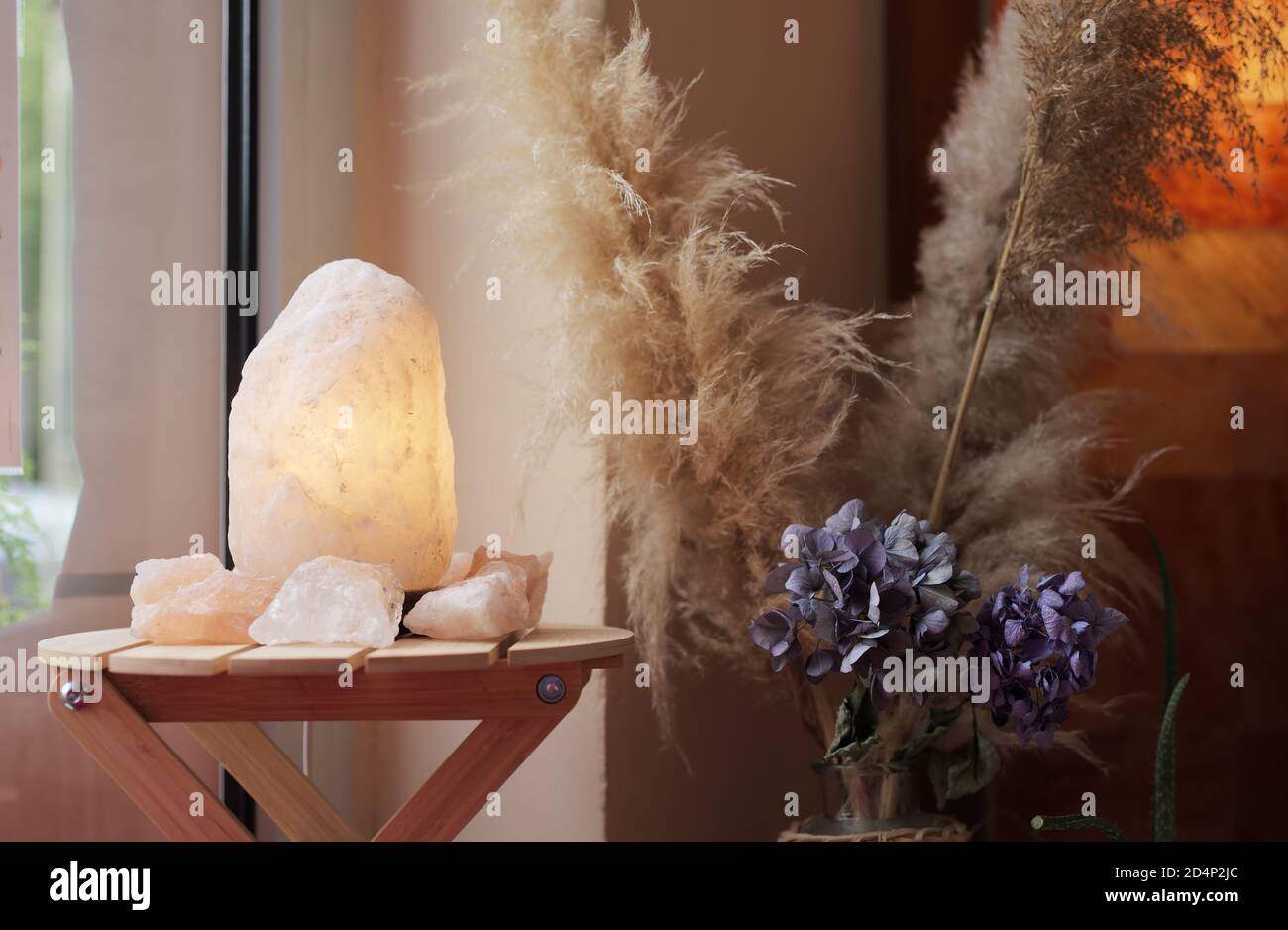 Diseño interior con lámpara de sal y plantas Fotografía de stock - Alamy