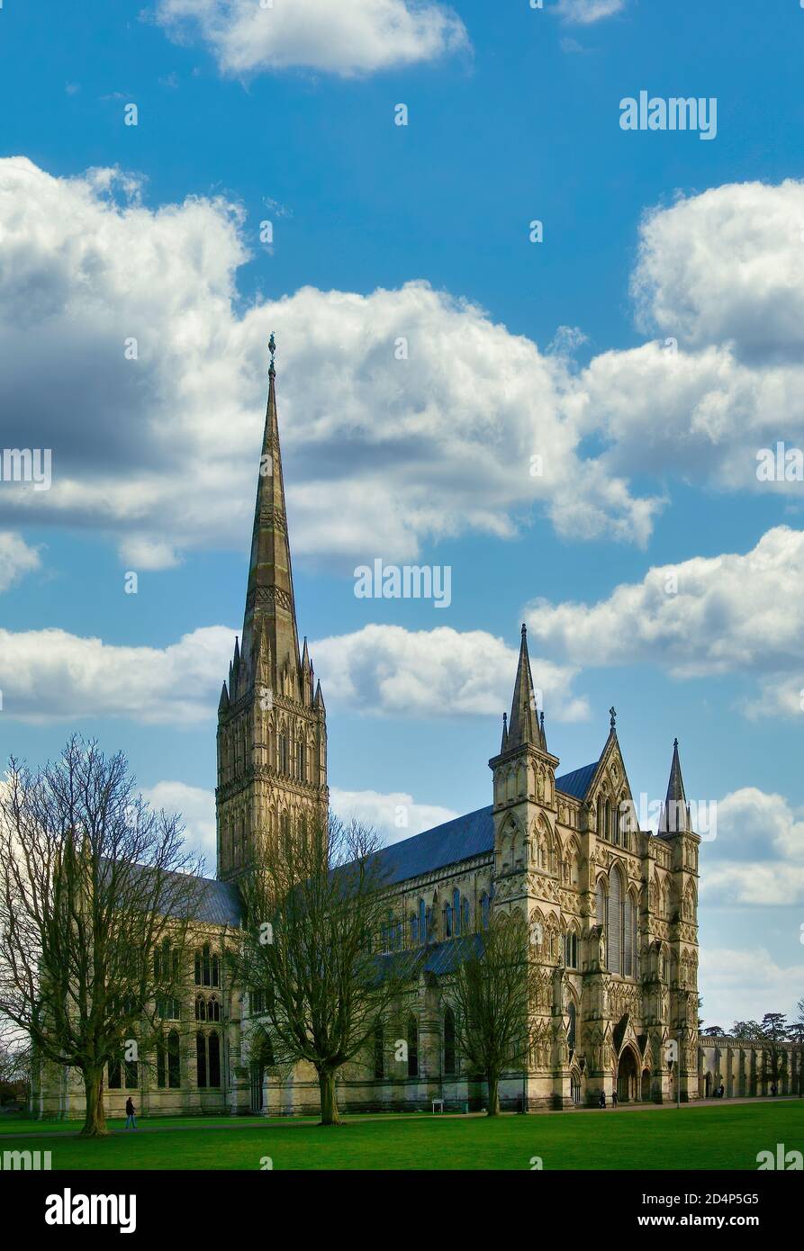 Catedral de Salisbury con la aguja wonky: Salisbury, Wiltshire, Reino Unido Foto de stock