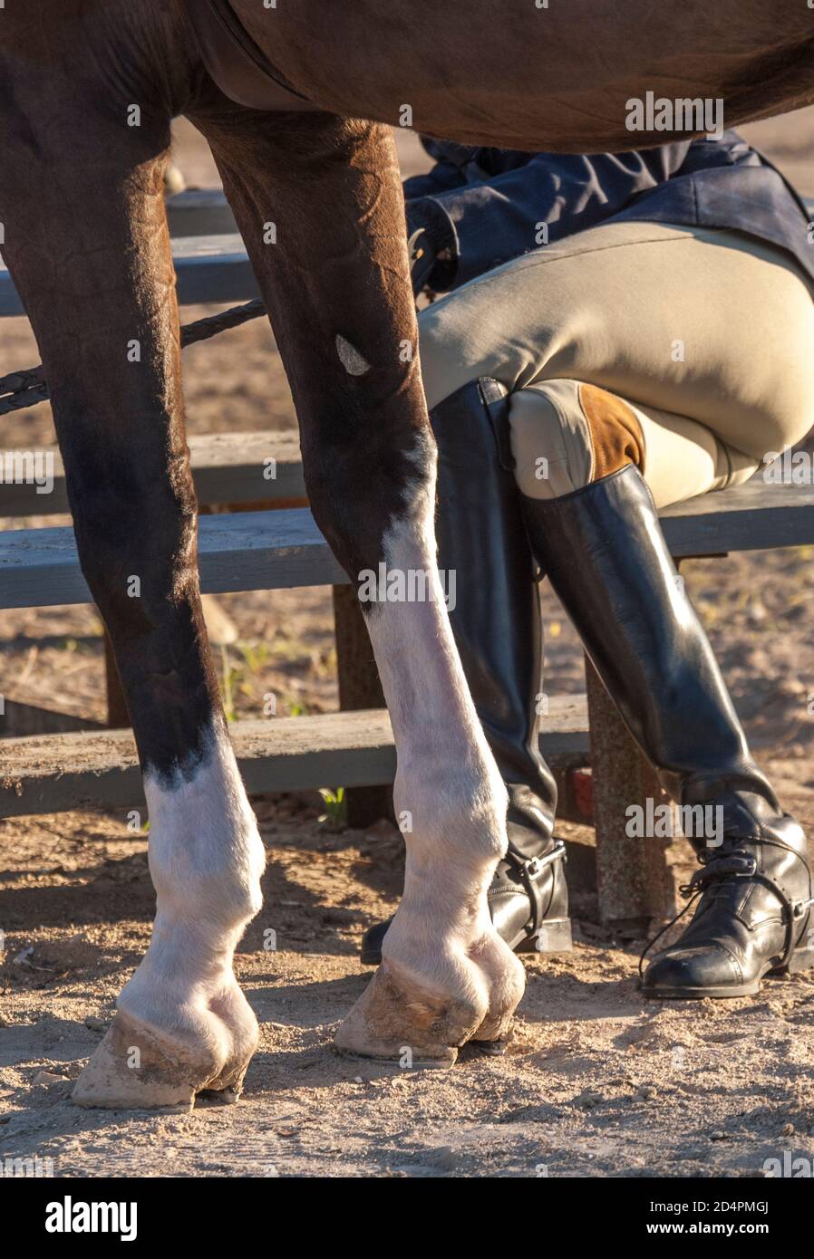 Piernas a caballo y botas en el evento de salto del espectáculo Fotografía  de stock - Alamy